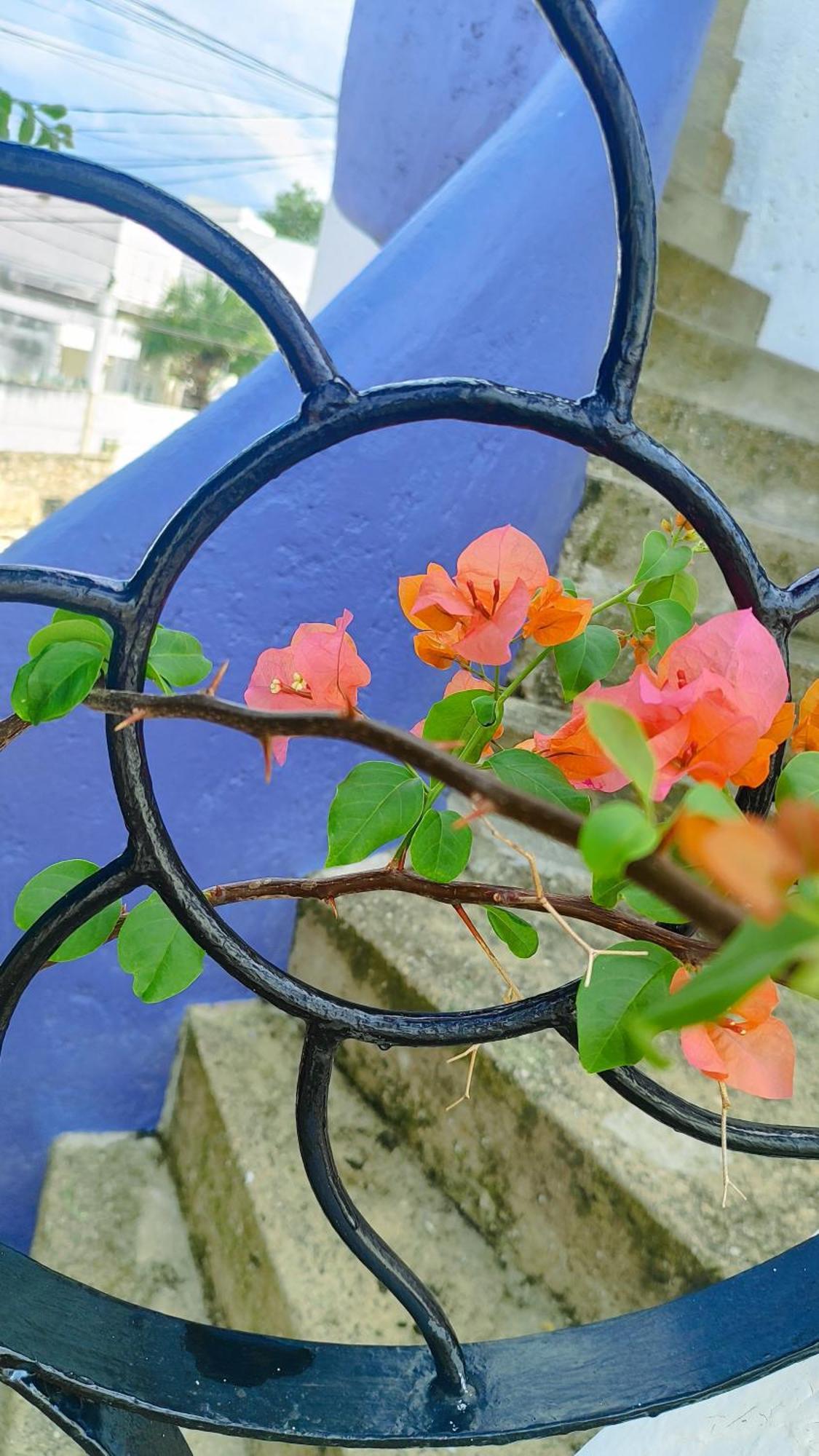 Amaranto Bed & Breakfast 3*