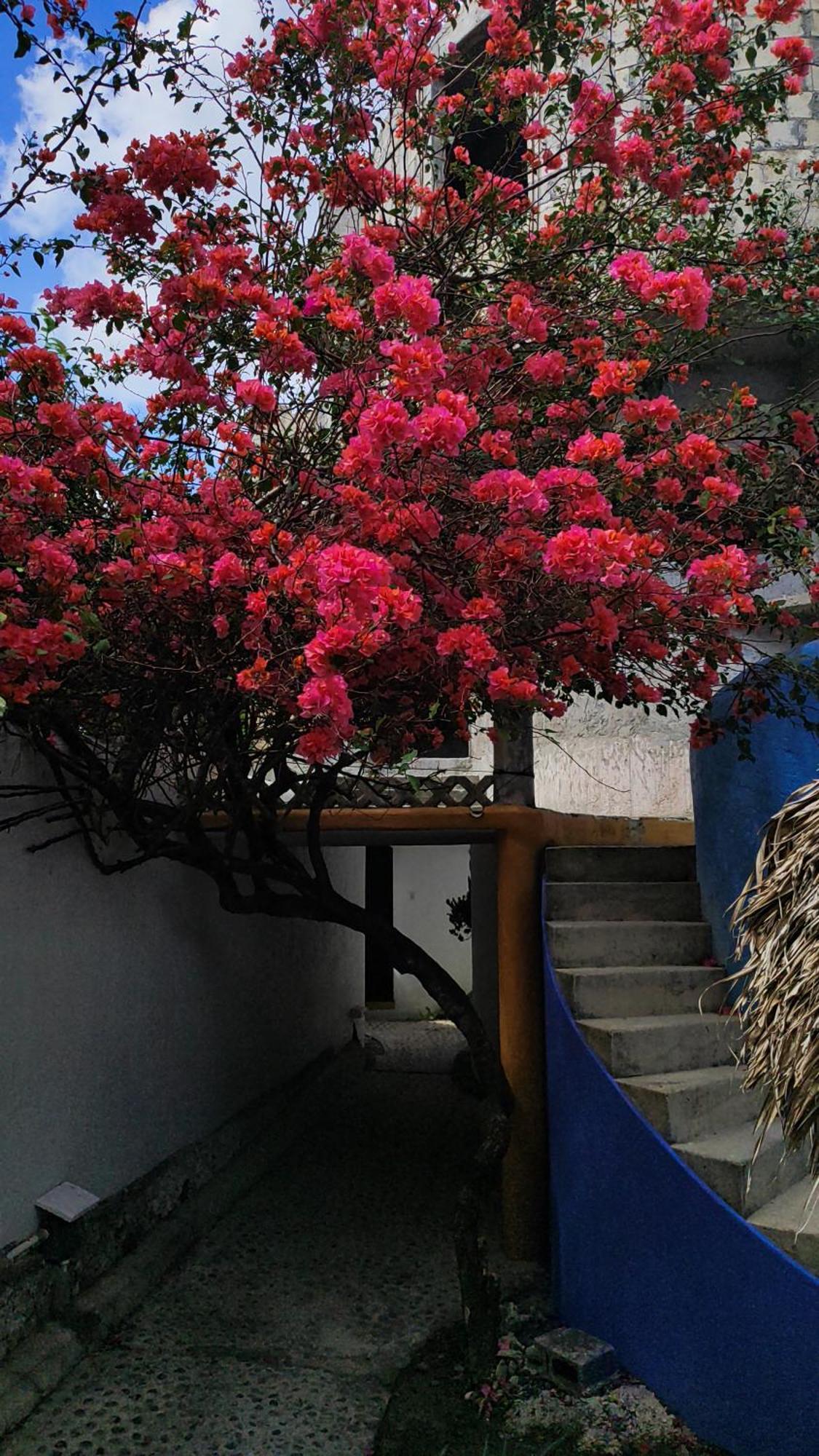 Bed & Breakfast Amaranto 3*