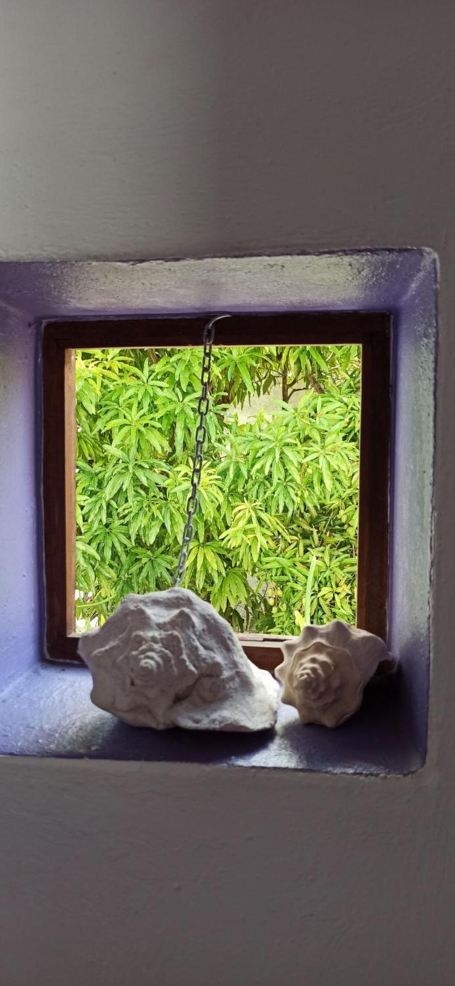 Amaranto Bed & Breakfast Cozumel
