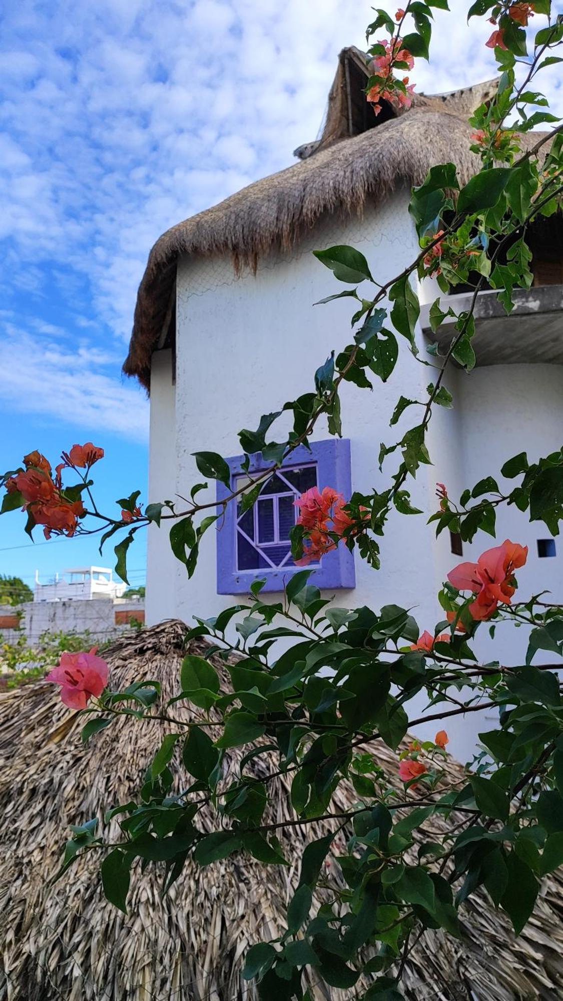 Amaranto Bed & Breakfast 3*