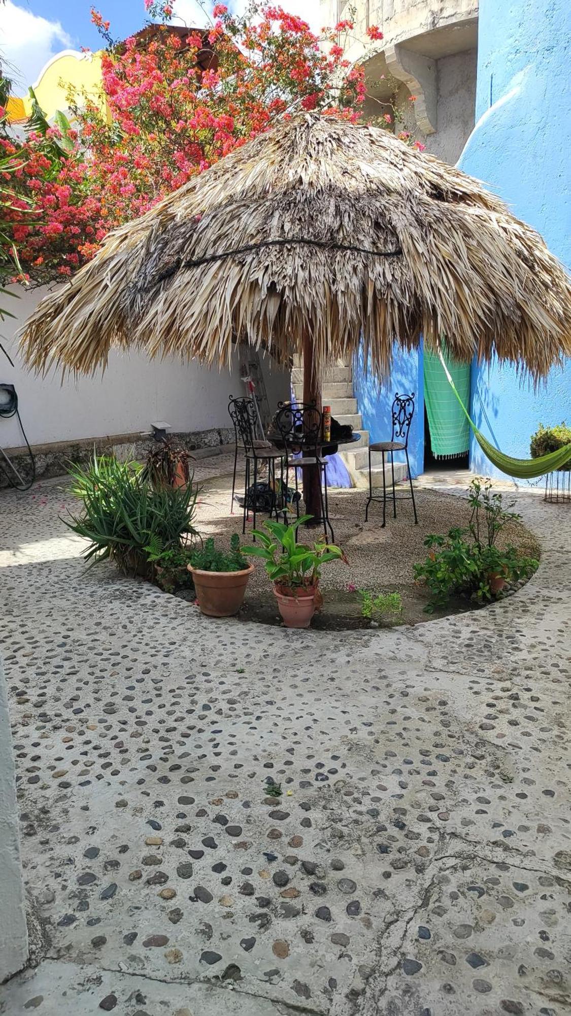 Amaranto Cozumel