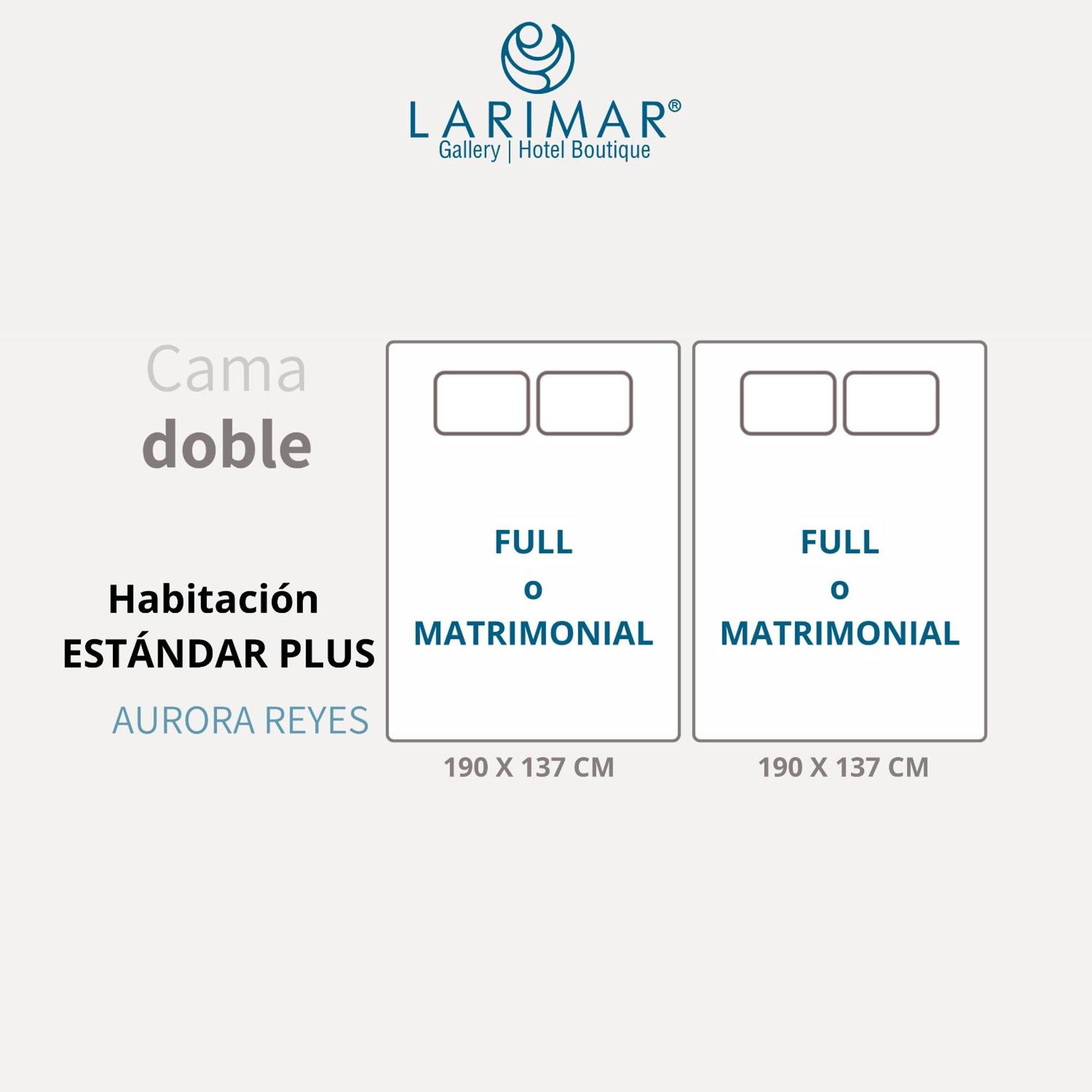 Larimar Gallery Y Boutique Hotel