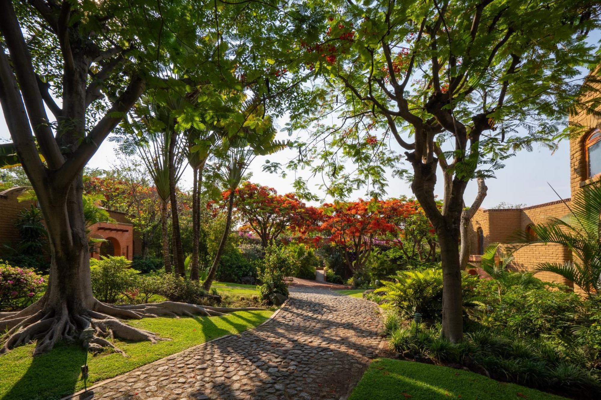 Mision Del Sol & Adults Only Hotel