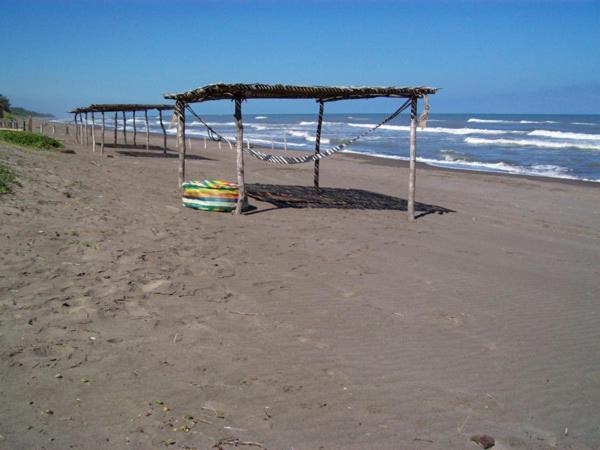 Azucar, Monte Gordo, A Member Of Design
