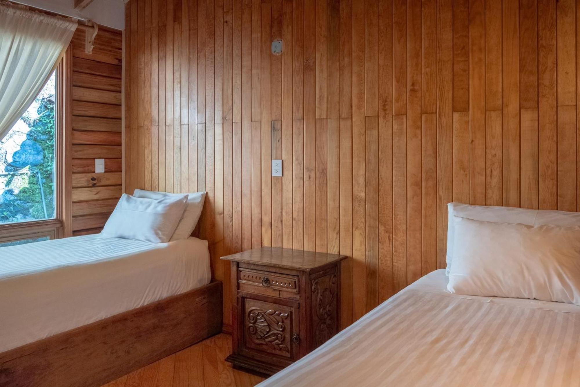 Hotel Forest And 3*