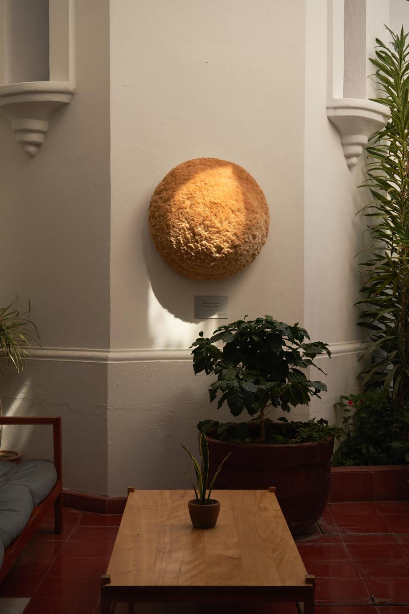 Sombra Del Agua Hotel San Cristobal de las Casas