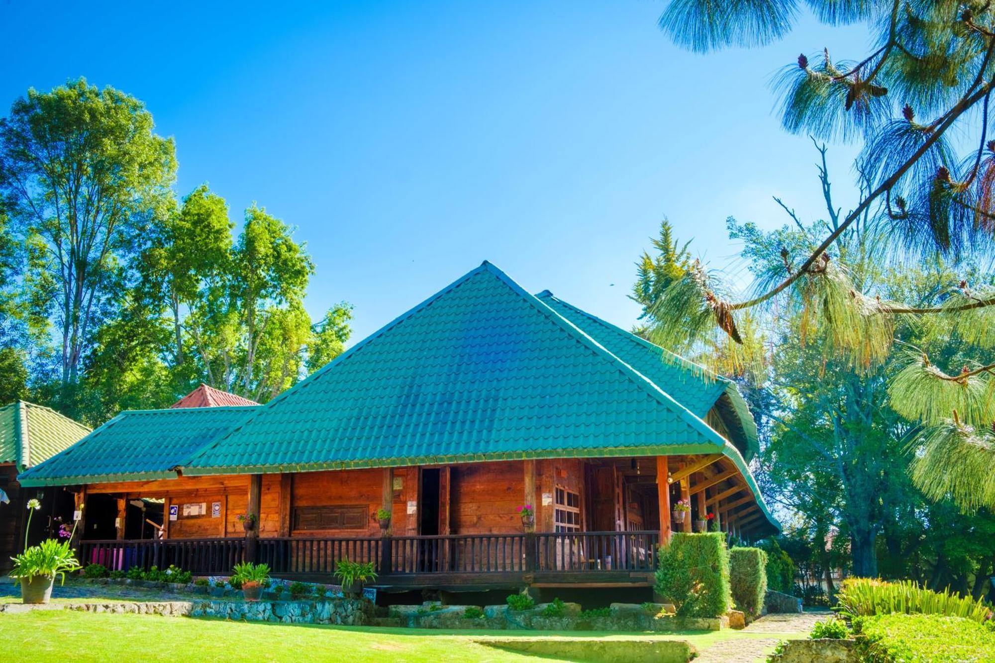 Forest And Hotel Zirahuen