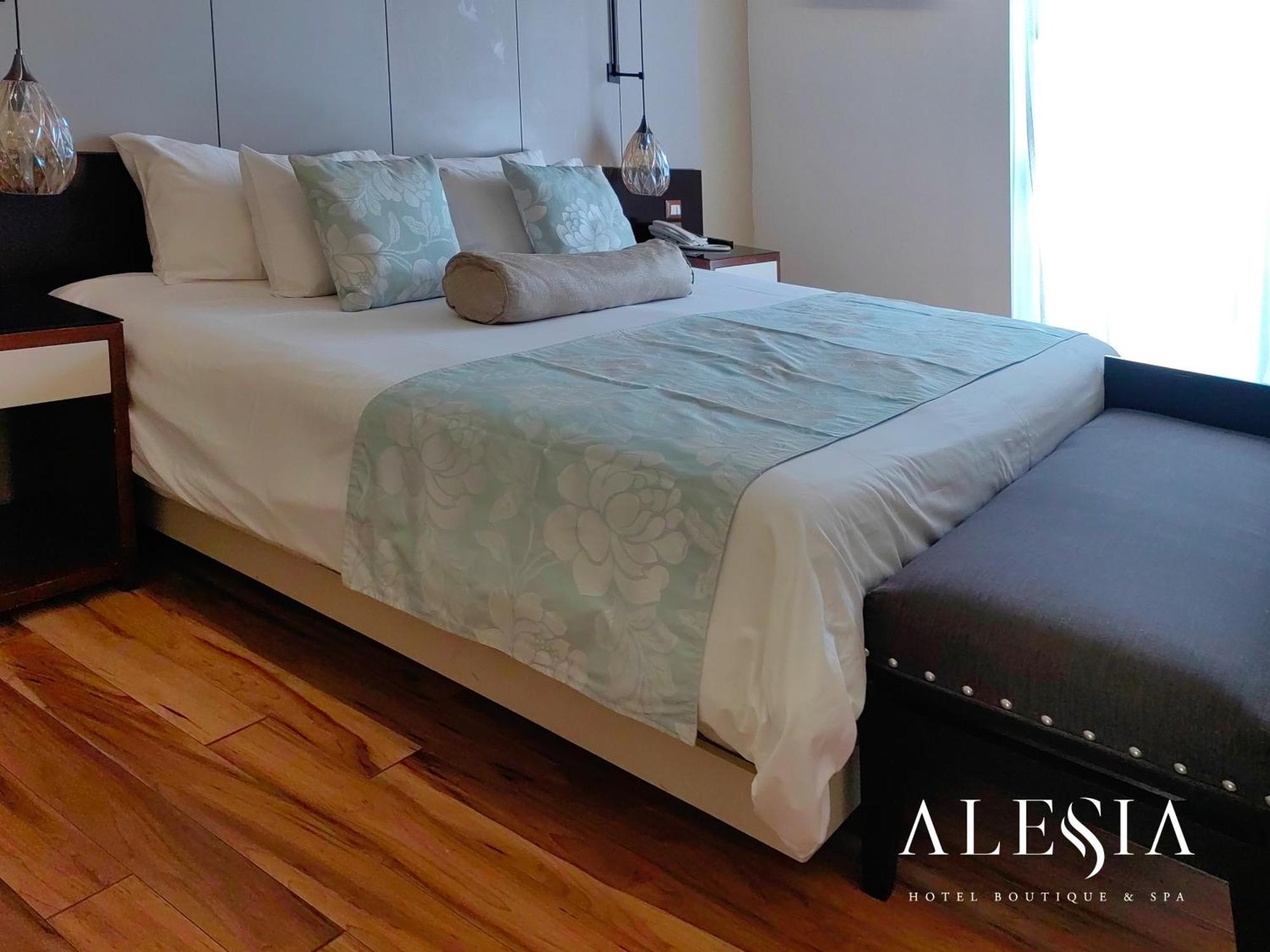 Alesia - Boutique & 4* Aguascalientes