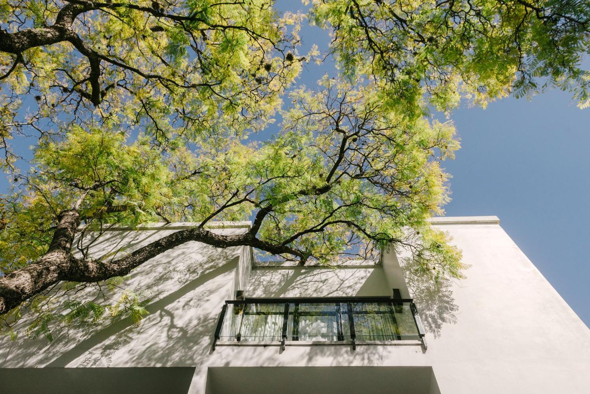Matilda, A Member Of Design Hotel San Miguel de Allende