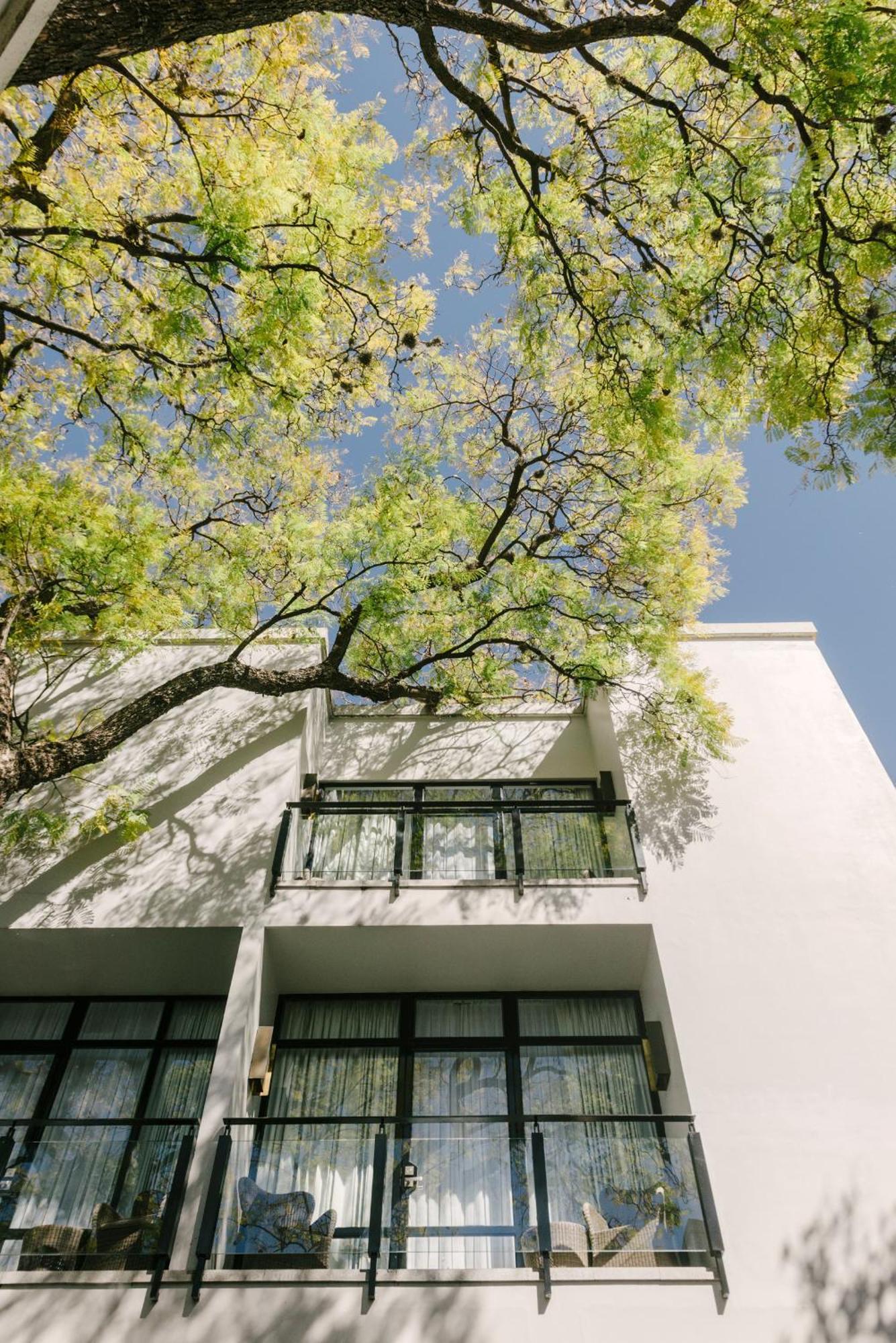 Hotel Matilda, A Member Of Design San Miguel de Allende
