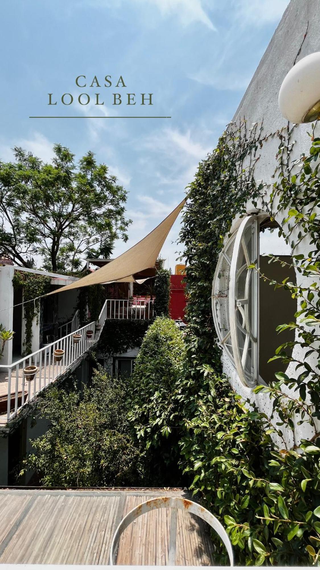 Casa Lool Beh Guest house San Miguel de Allende
