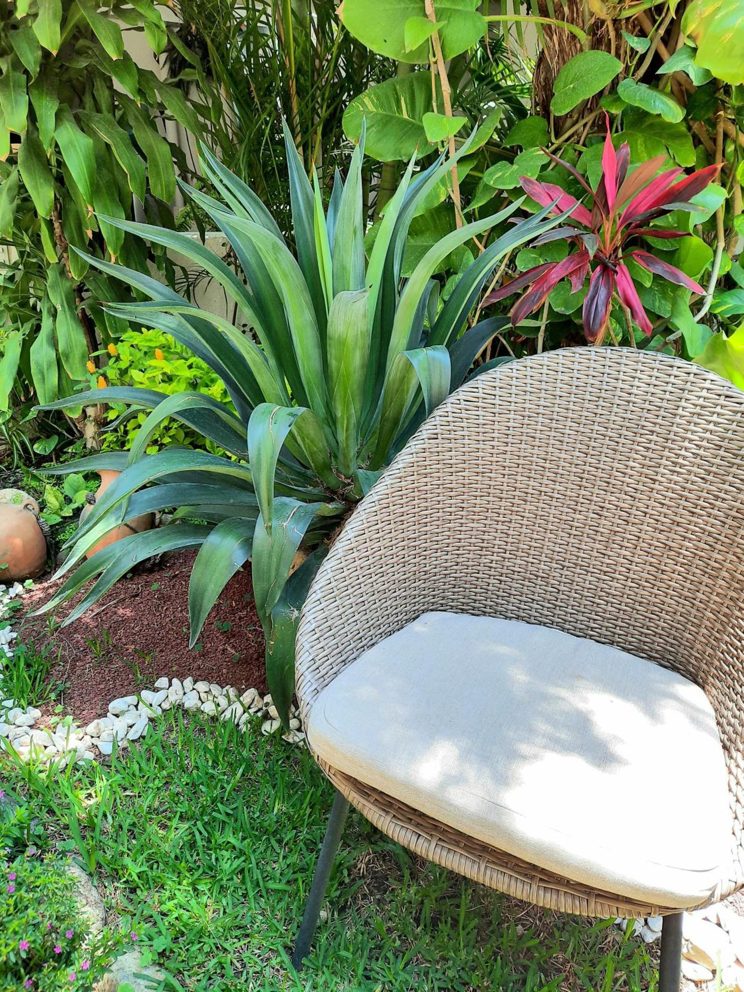 Casa Cantaros Boutique Hotel Oaxaca