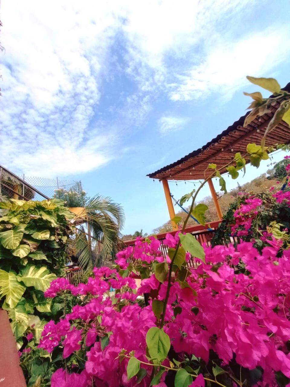 Hotel La Cabana 3*