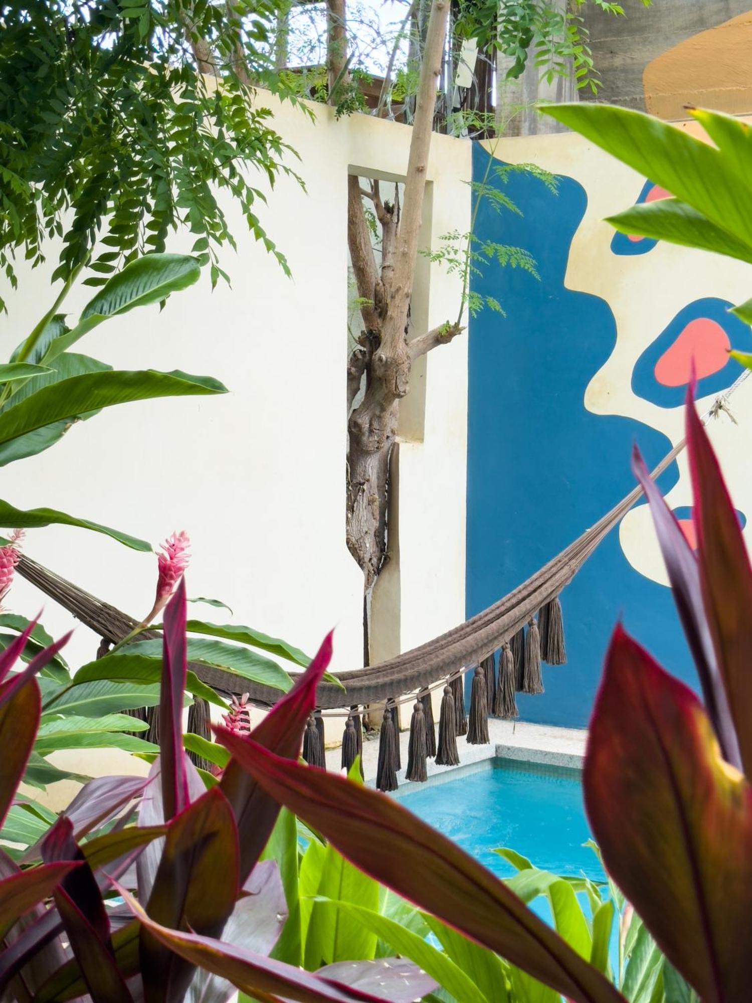 Apartment Casa Borka Puerto Escondido (Oaxaca)
