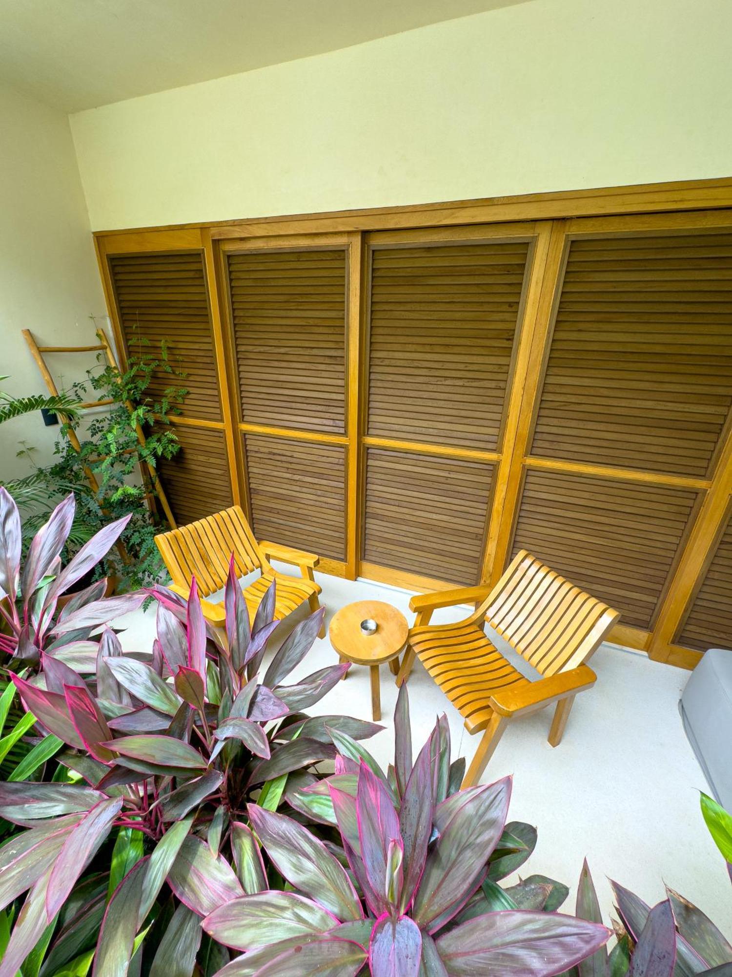Casa Borka Apartment *