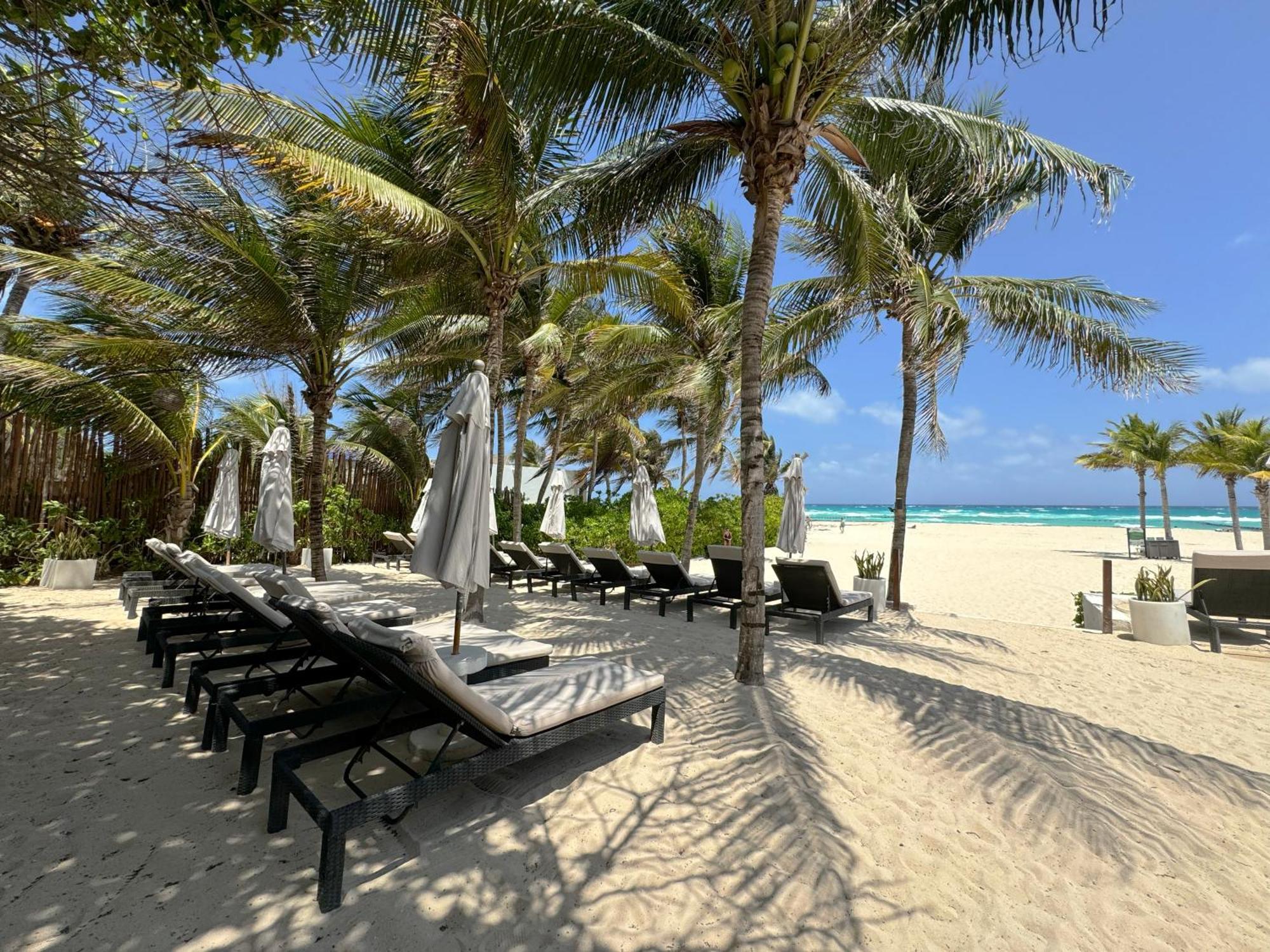 The Reef Playacar & 4* Playa del Carmen