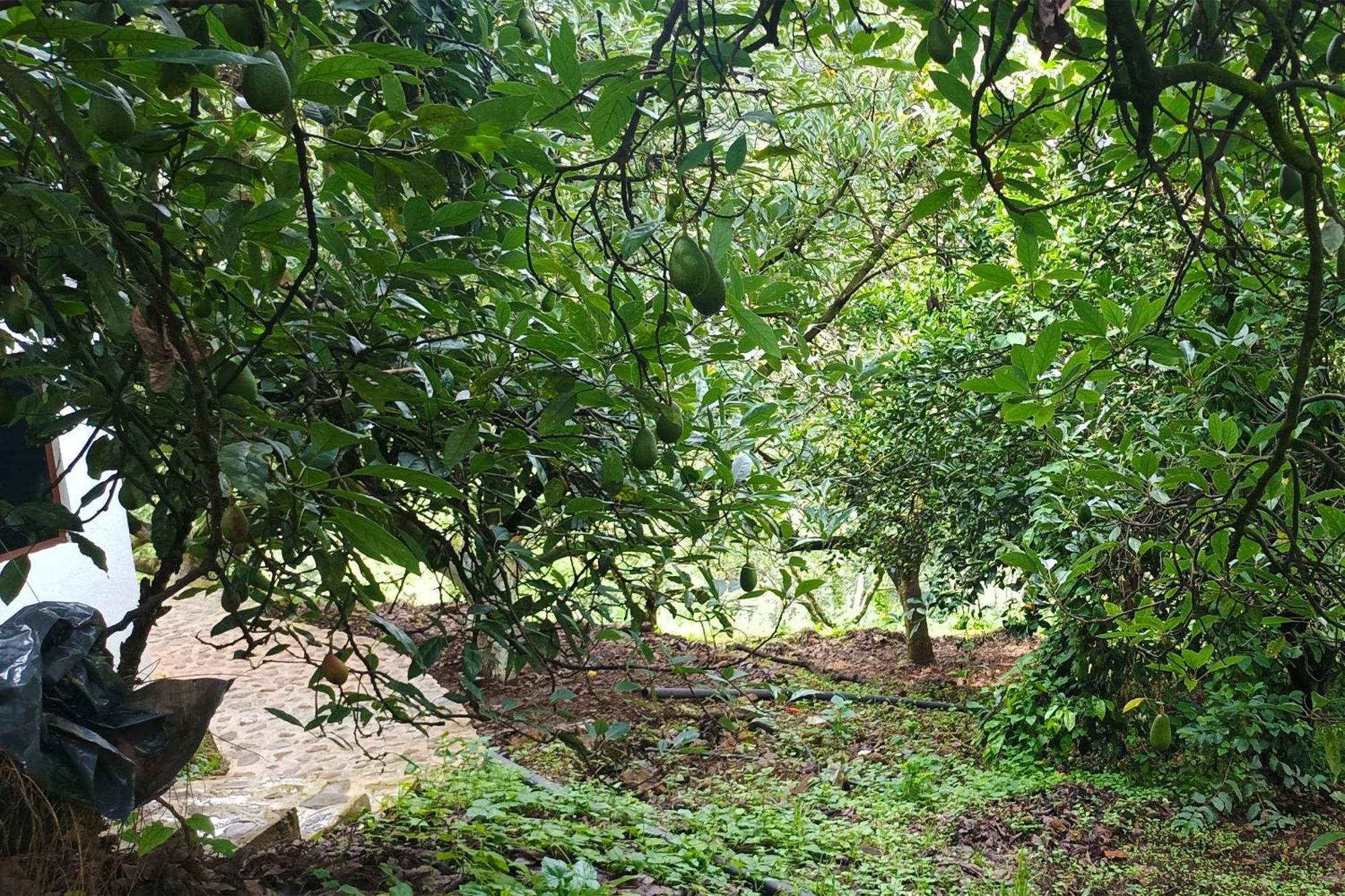 Hotel Fincal El Sonador Valle de Bravo