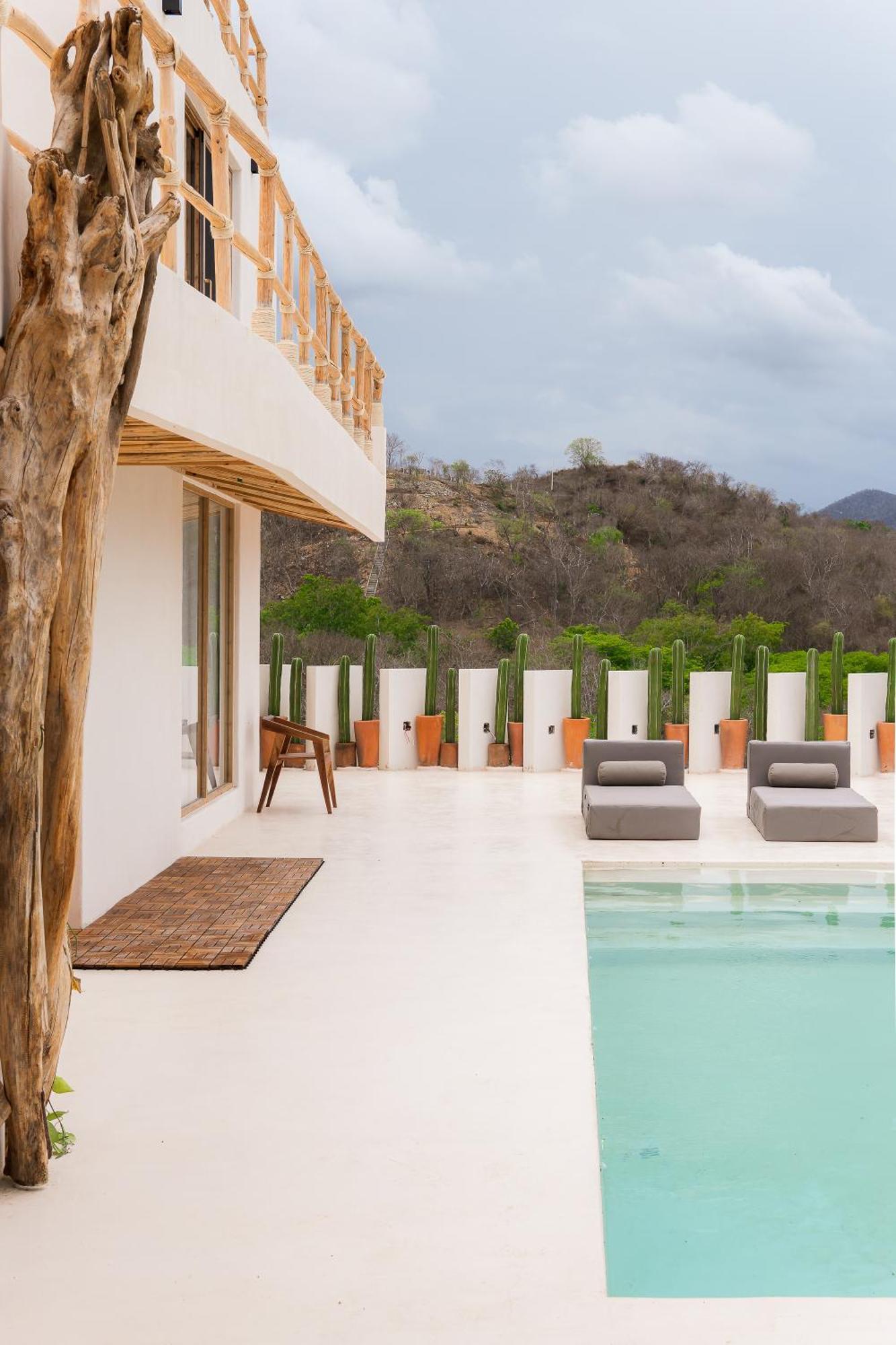 Guest house Xeno