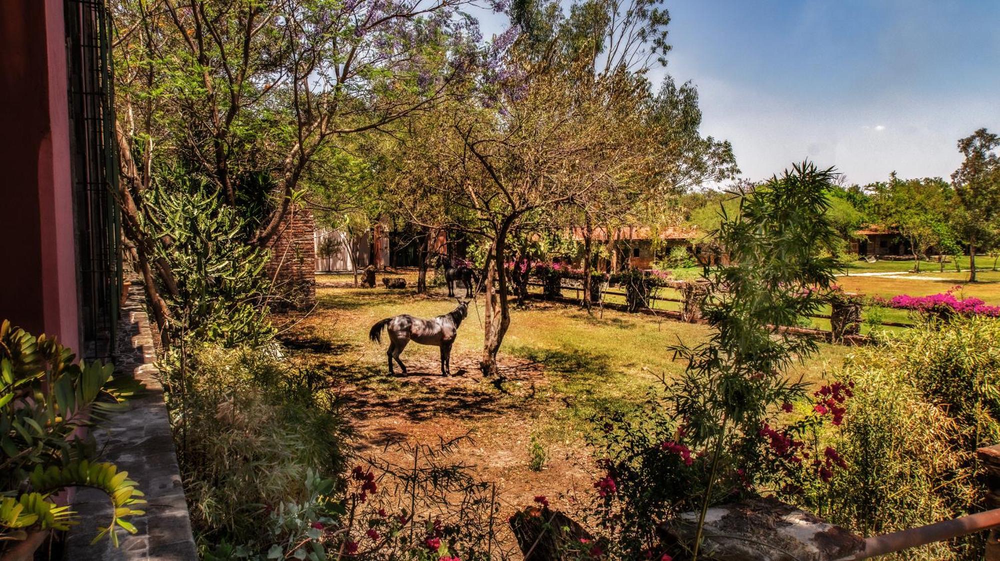 Hacienda Labor De Rivera Boutique & Eventos Teuchitlan