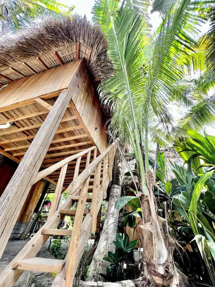 Bikini House