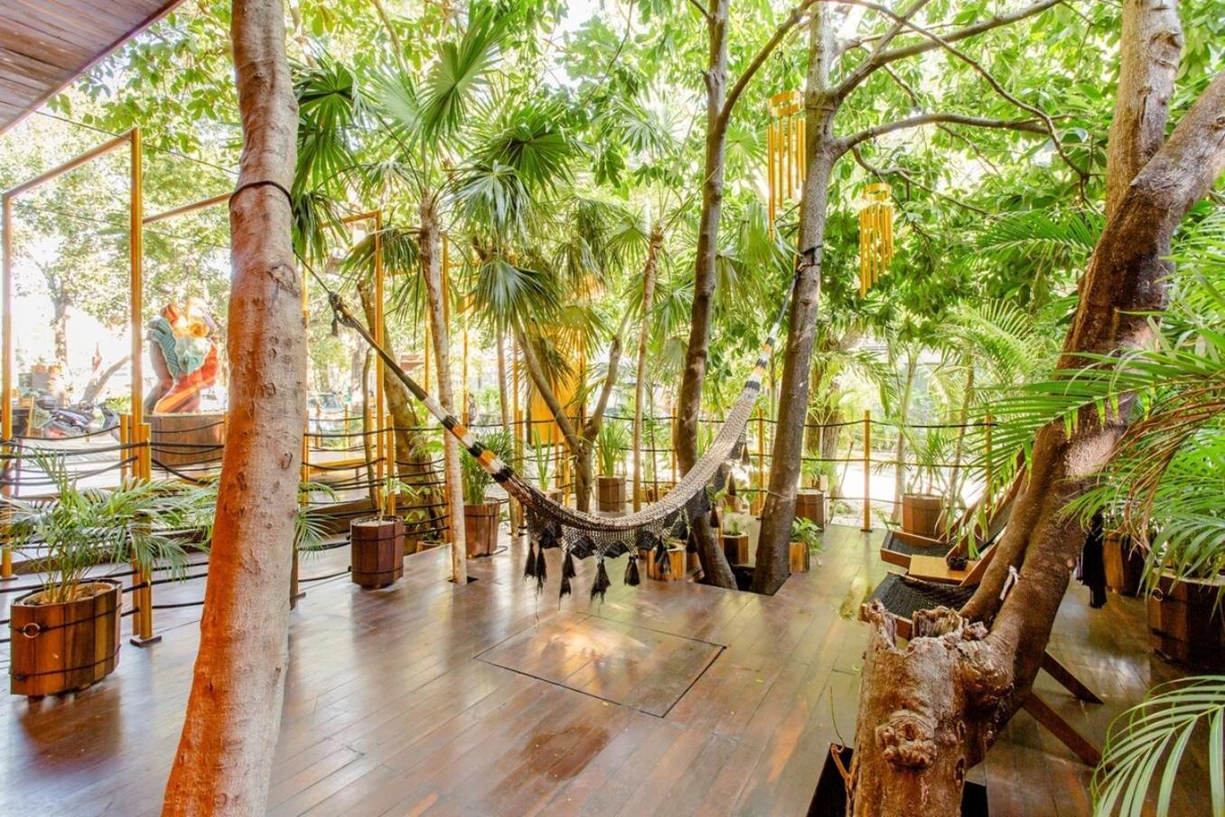 38th St, Beautiful In Playa Steps To Apartment Playa del Carmen