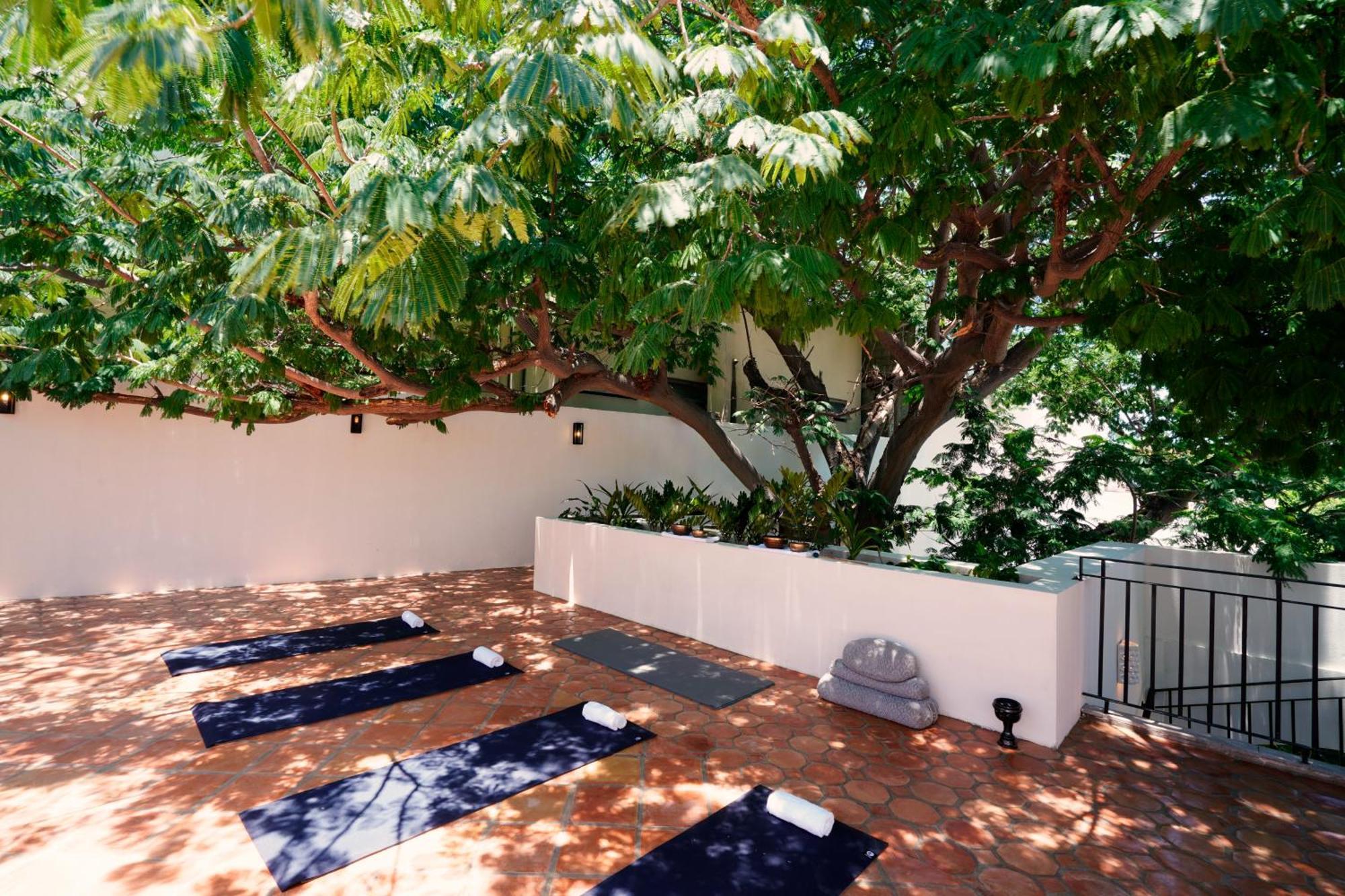 Tropicana Cabos, Tapestry Collection By Hilton 4* San Jose del Cabo