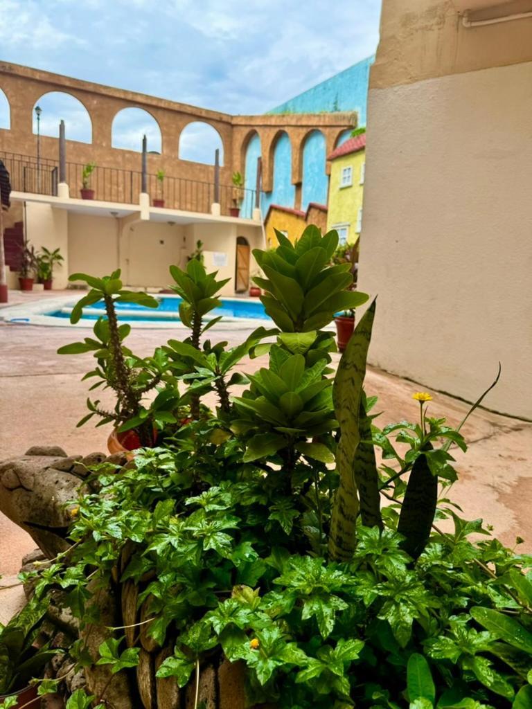 Centro Zihuatanejo