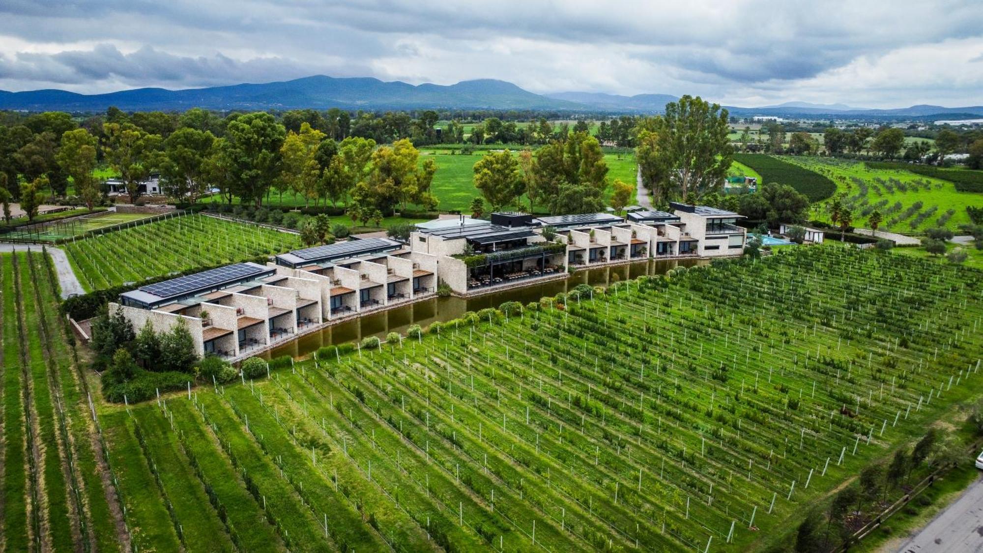 Hotel Vinedos San Francisco Alcocer