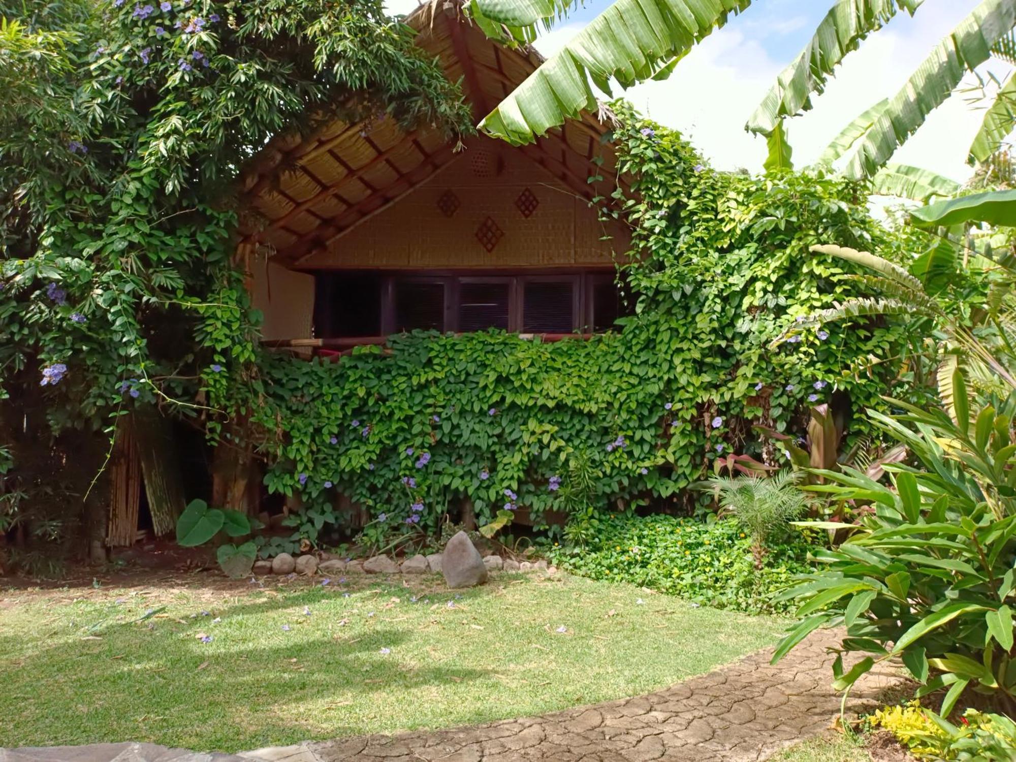 Eco Tahawi Ajijic
