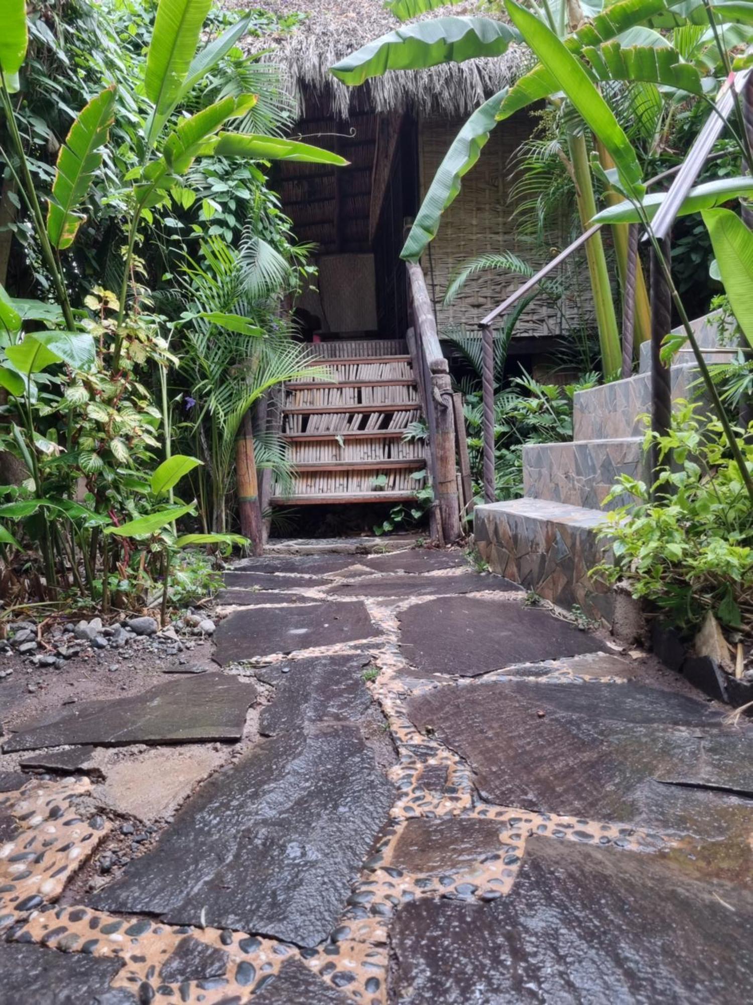 Eco Tahawi * Ajijic