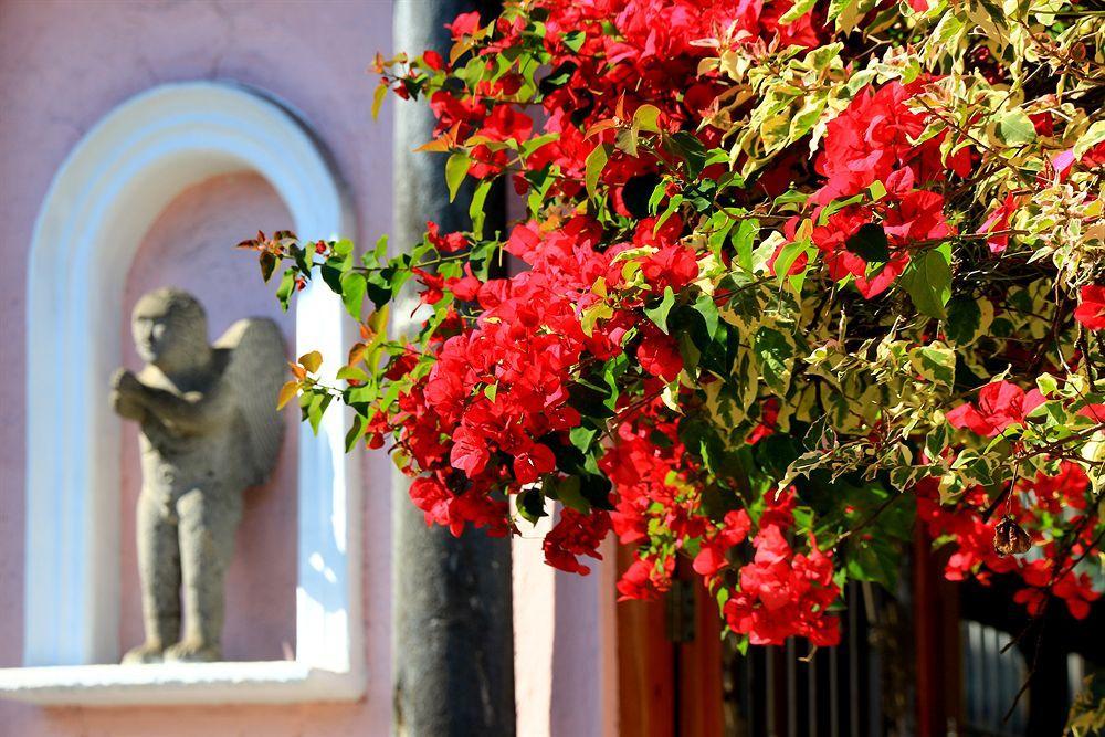 El Pueblito De Fortin Fortin de las Flores