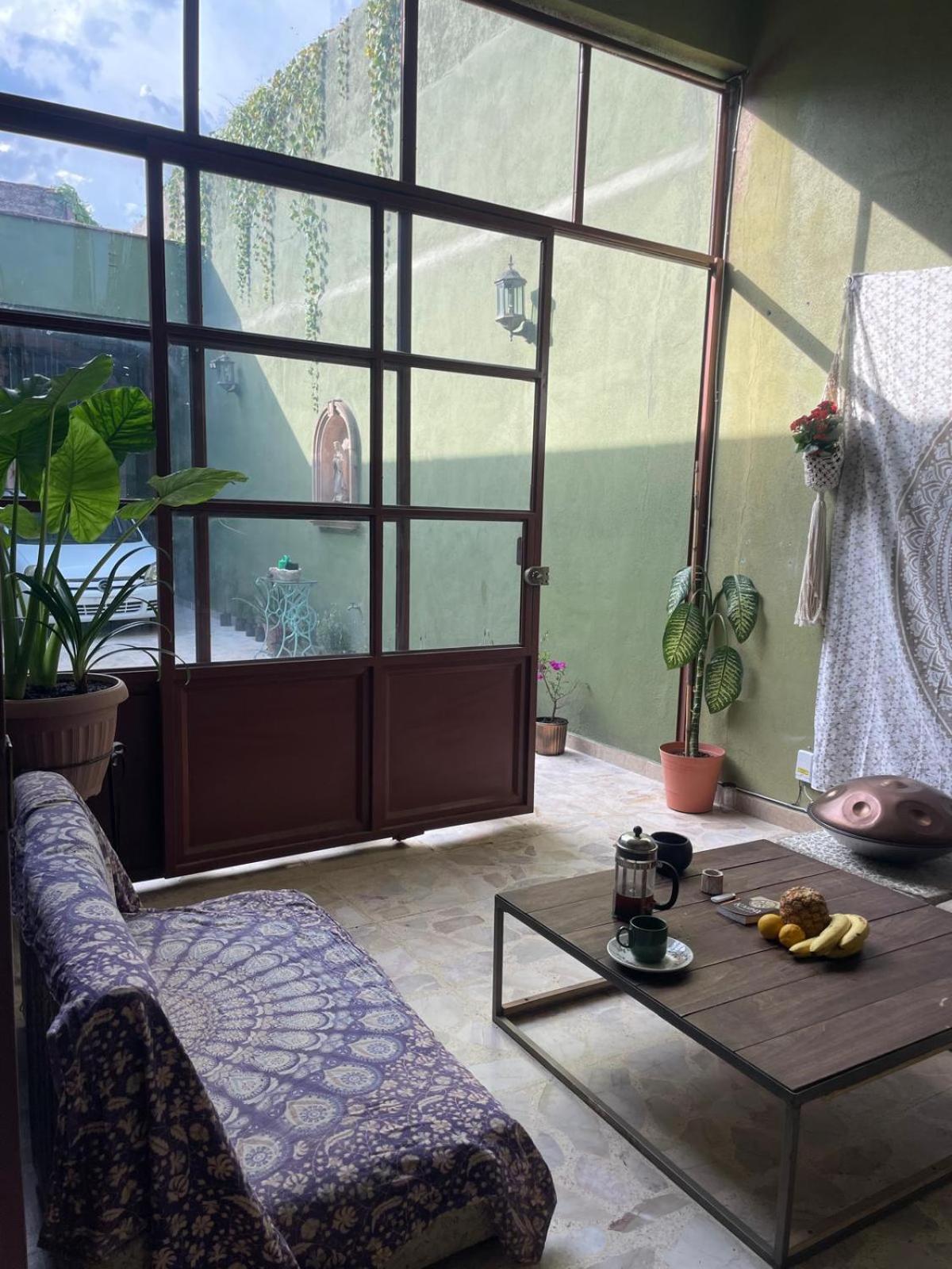 Hotel Transparence Holistico Leon