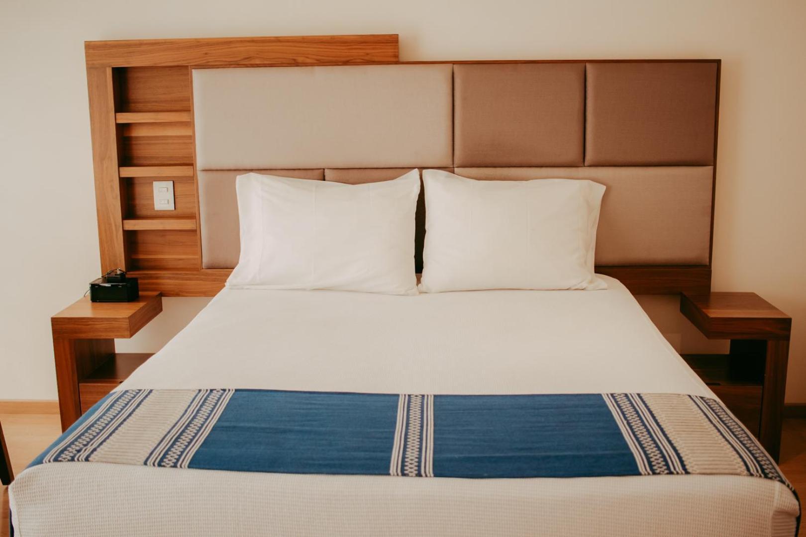 Aparthotel Millenium Plaza & San Luis Potosi