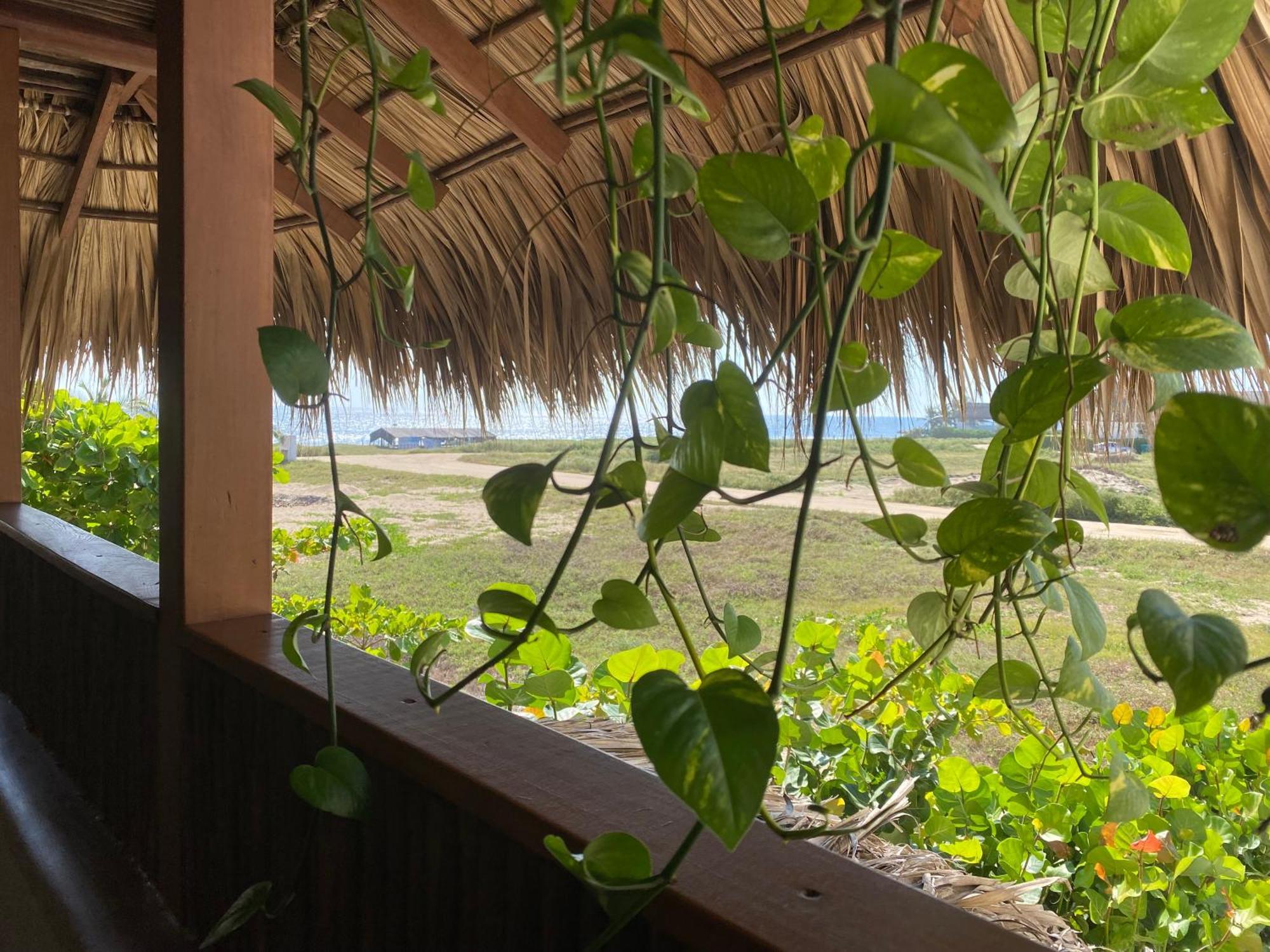 Hotel El Origen & Spa-puerto Escondido
