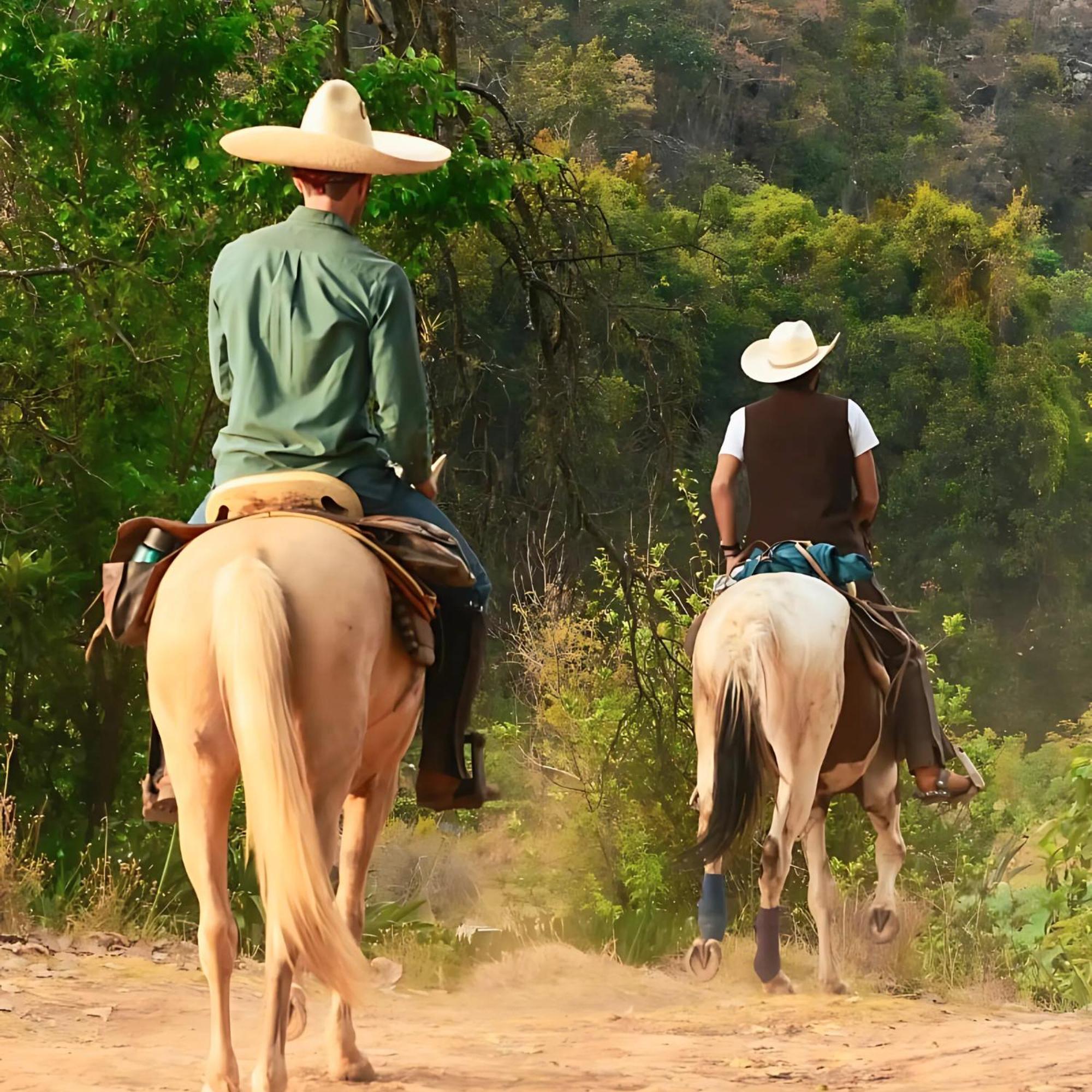 Rancho Reencuentro Eco & Cabalgatas Hotel *