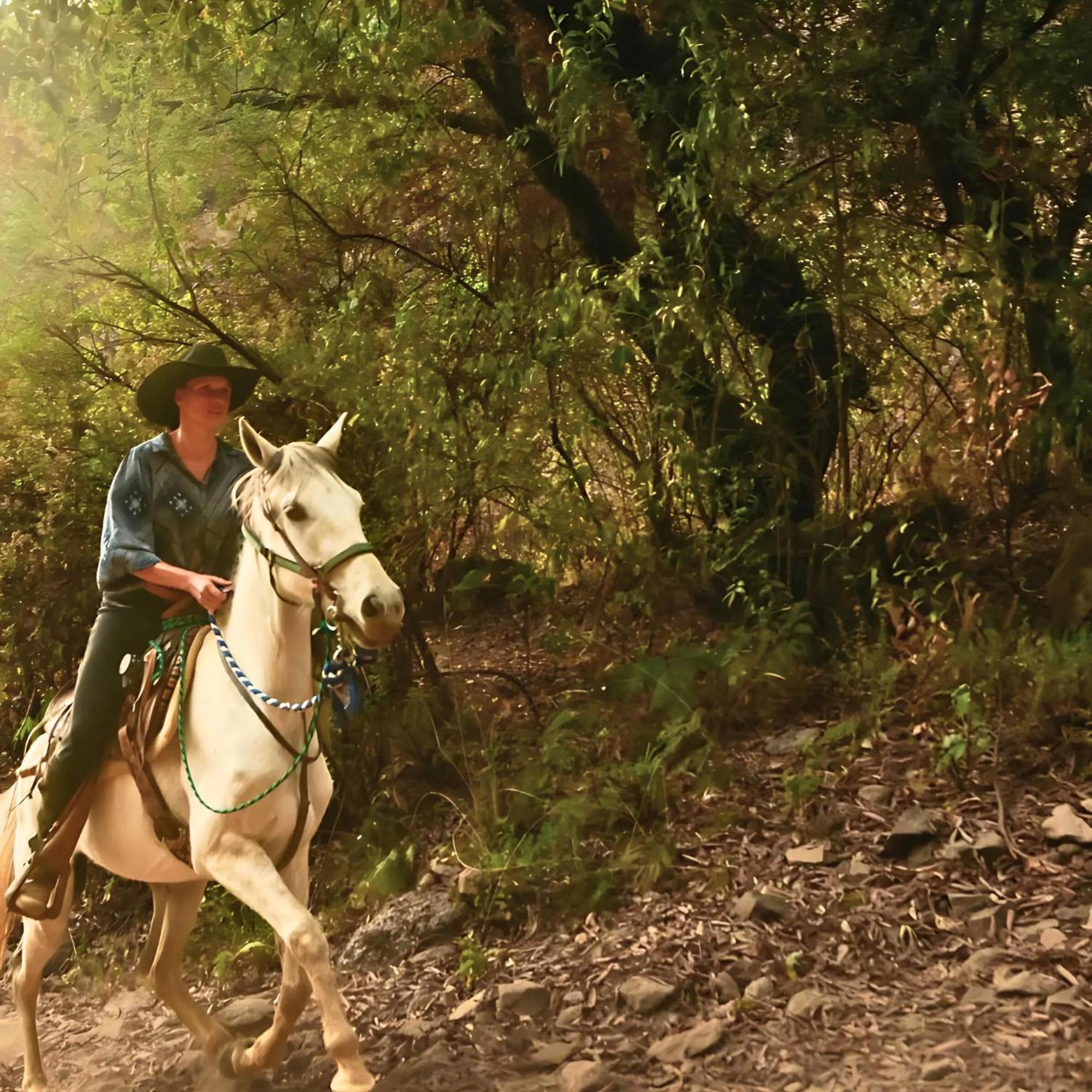 Rancho Reencuentro Eco & Cabalgatas Hotel Valle de Bravo