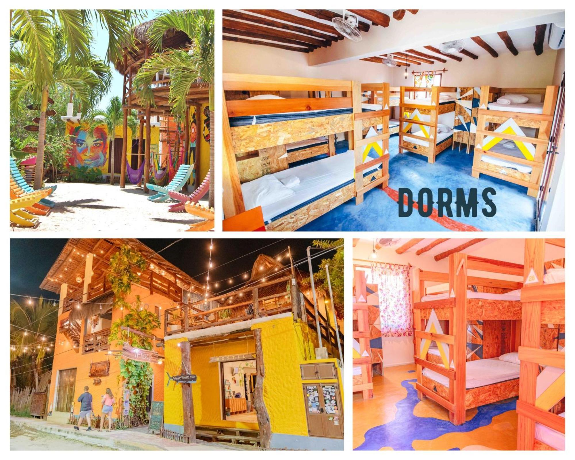 Hostel Tribu