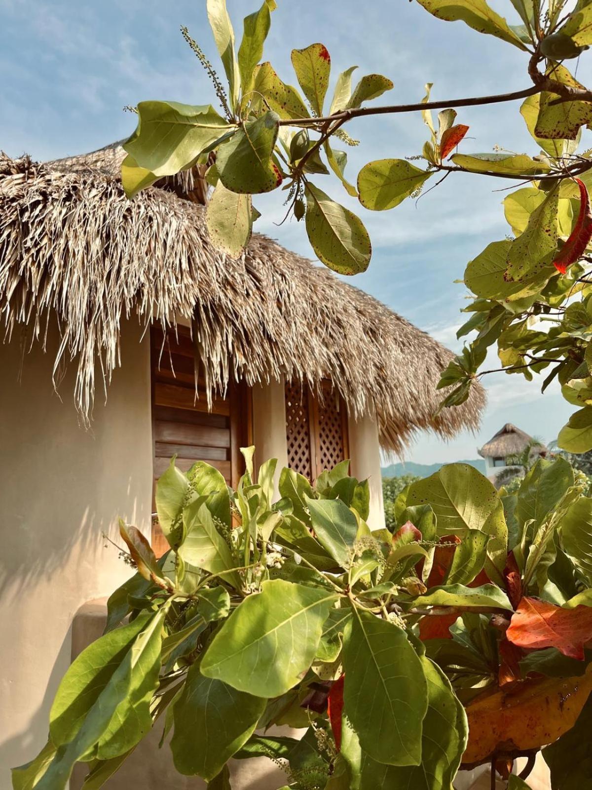 El Origen & Spa-puerto Escondido
