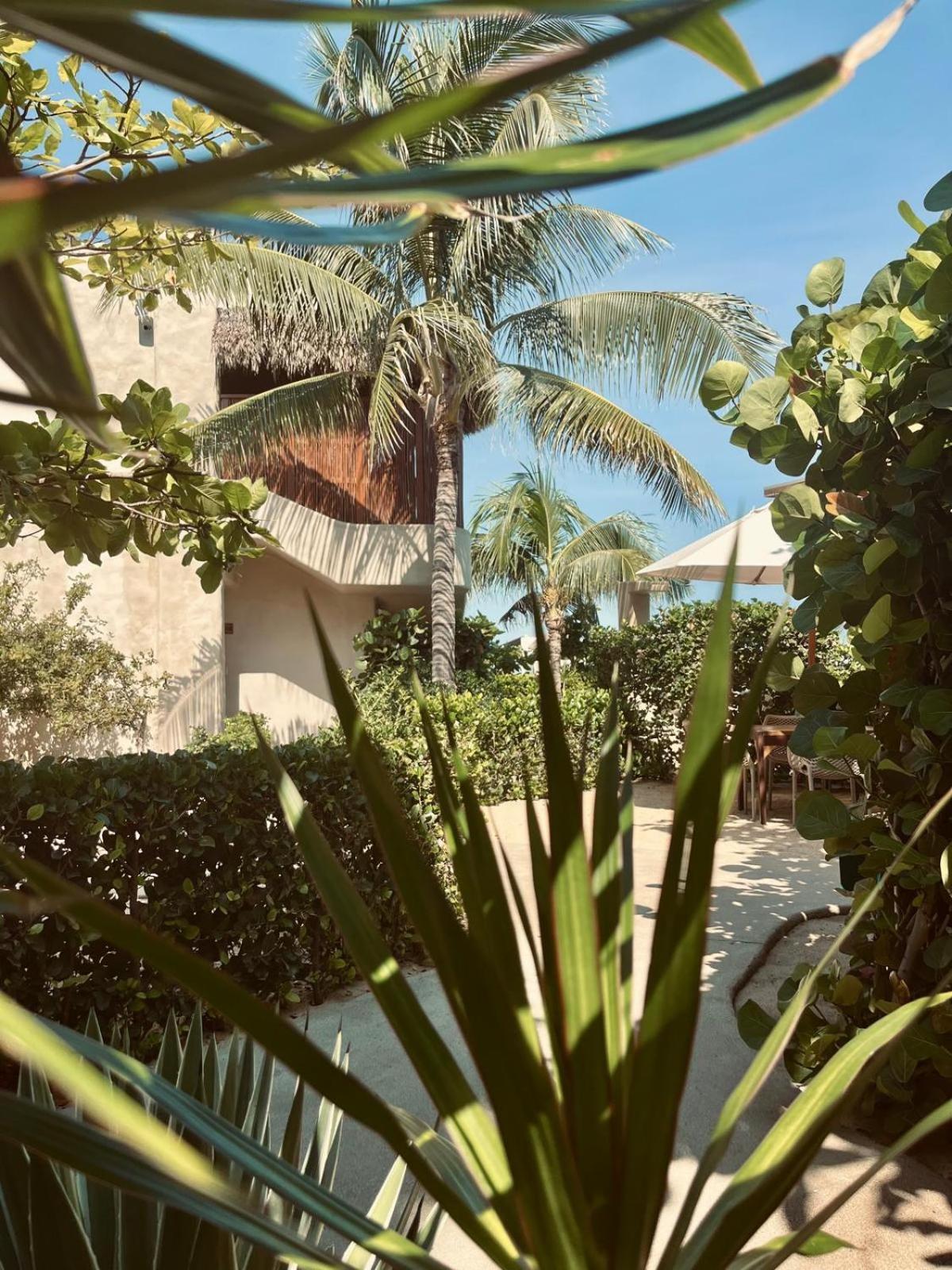 El Origen & Spa-puerto Escondido *