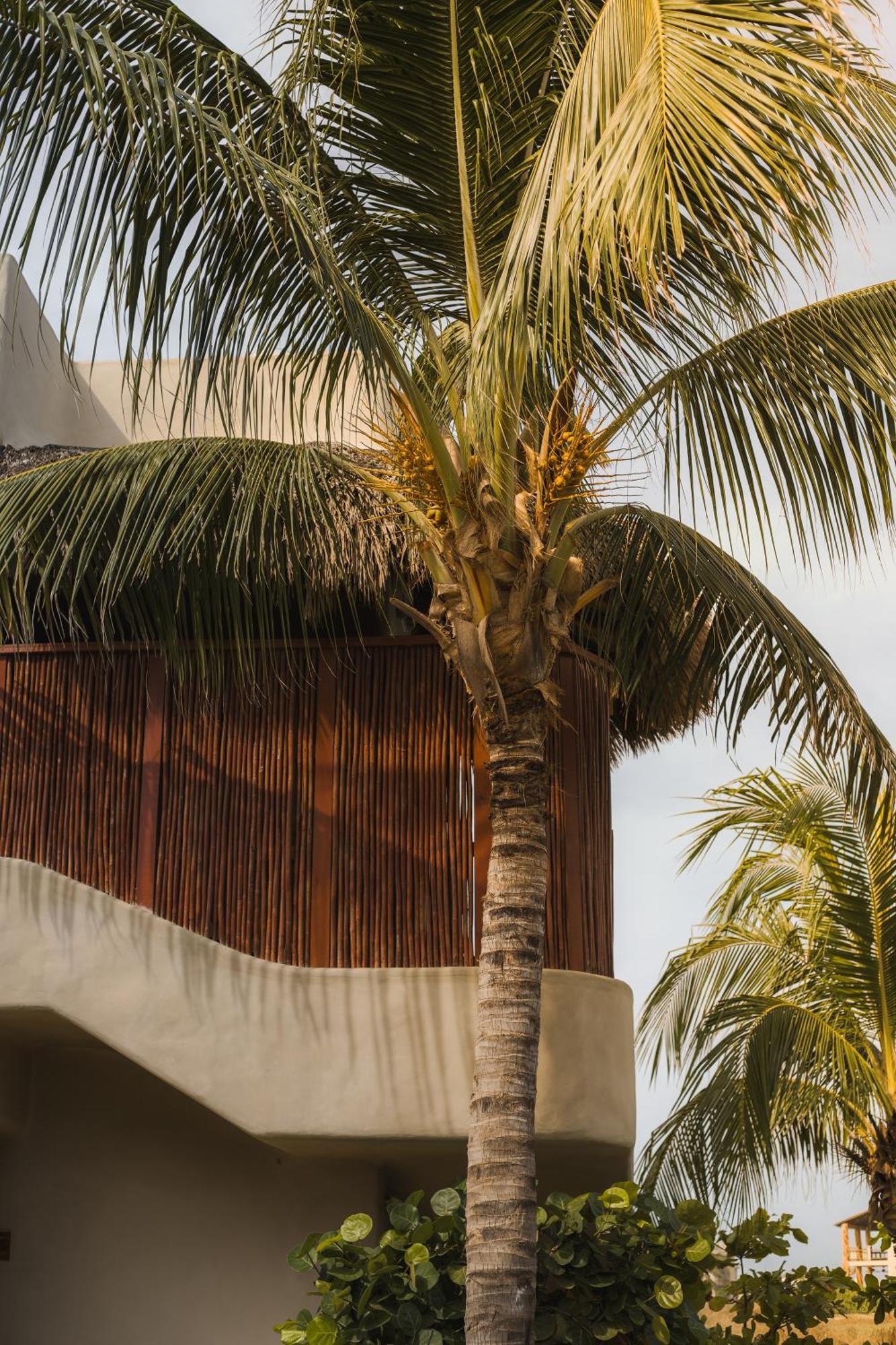 El Origen & Spa-puerto Escondido