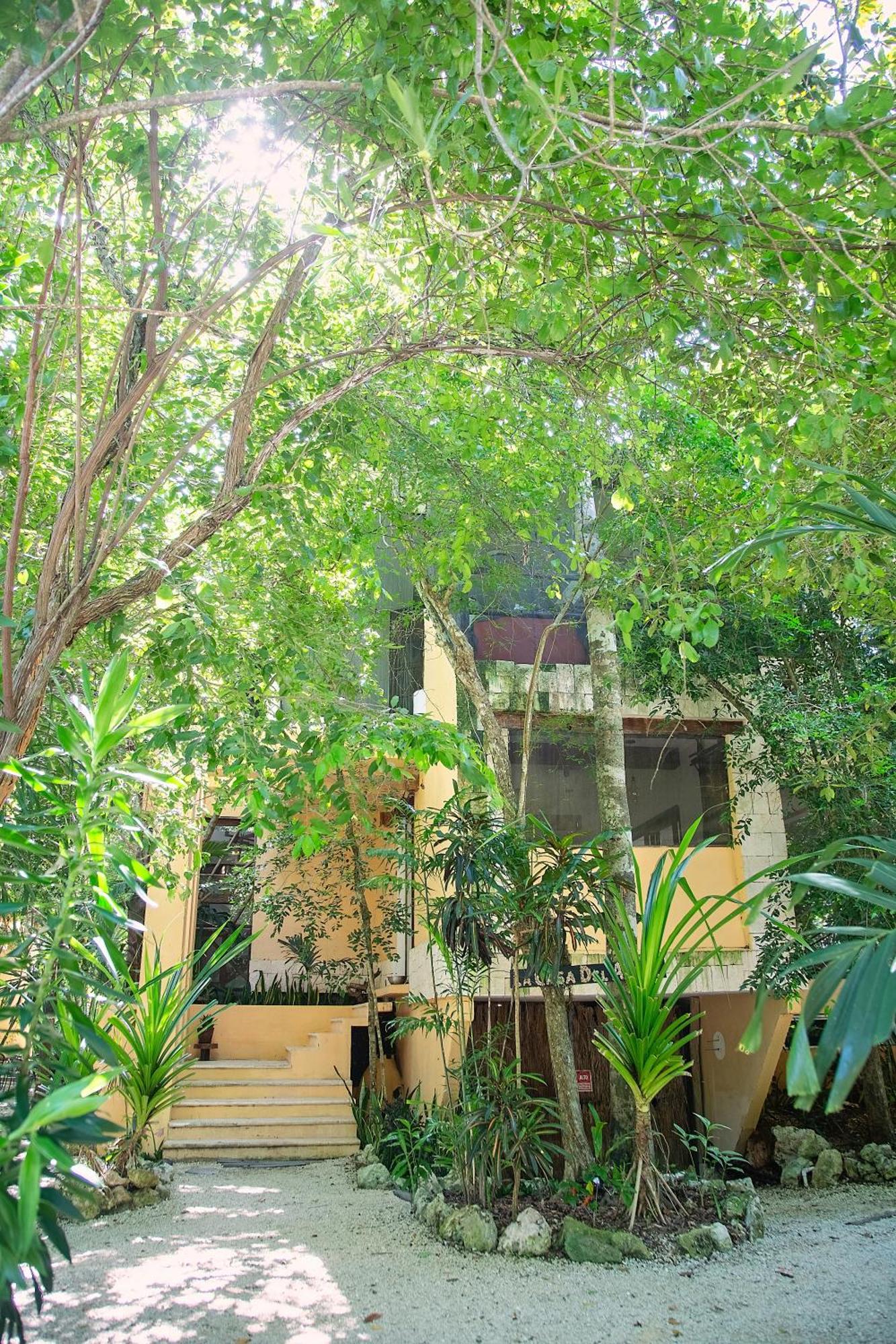Resort Ekumal Retreat Eco Sanctuary