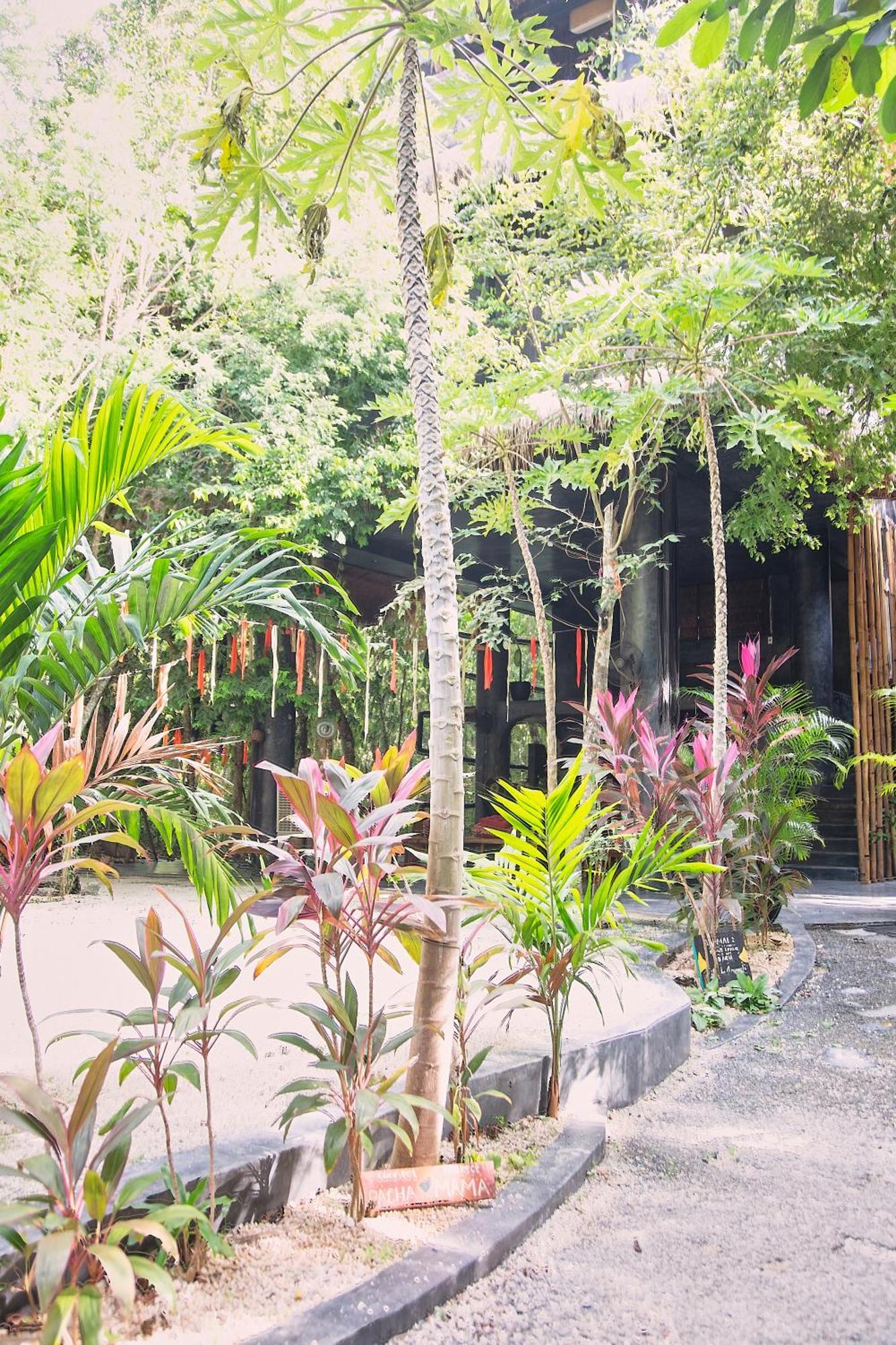 Ekumal Retreat Eco Sanctuary Akumal