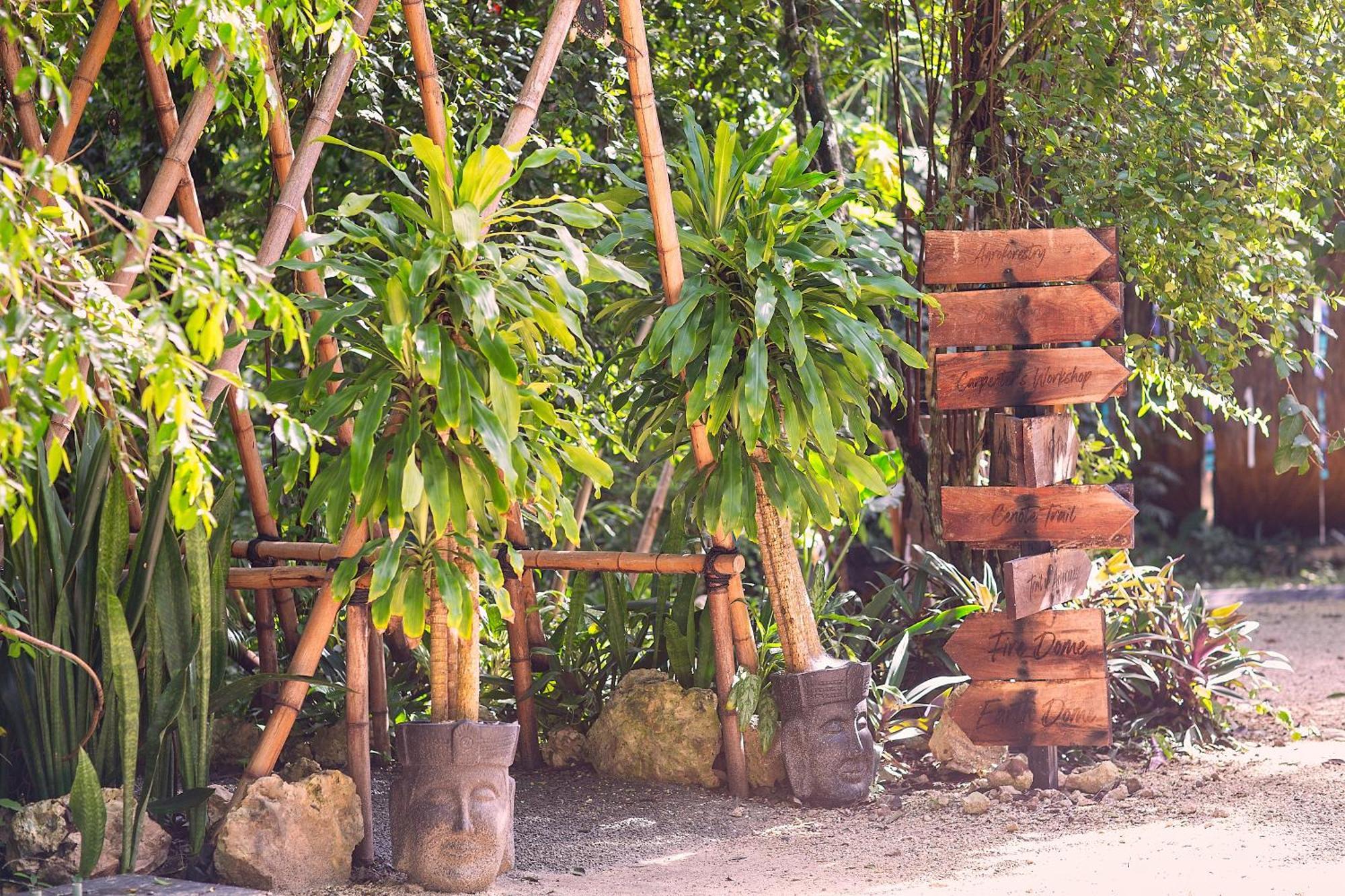 Ekumal Retreat Eco Sanctuary Akumal