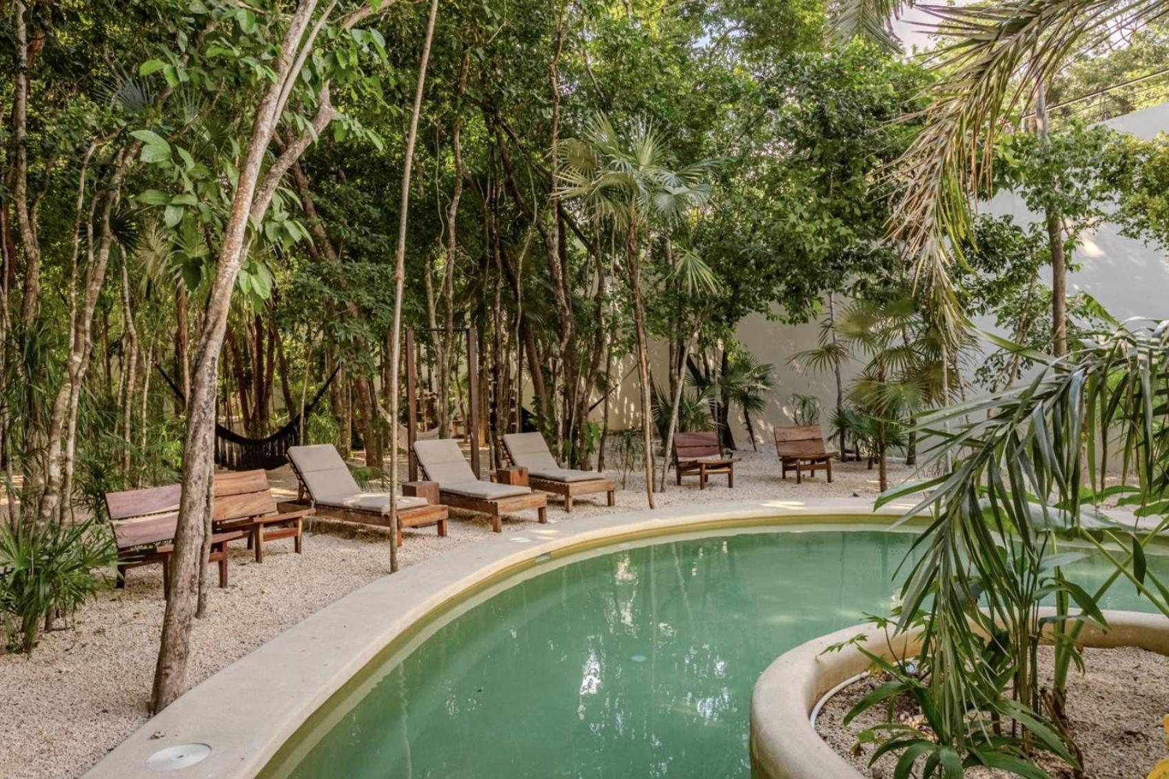 Lux Jungle Near Apartment Tulum