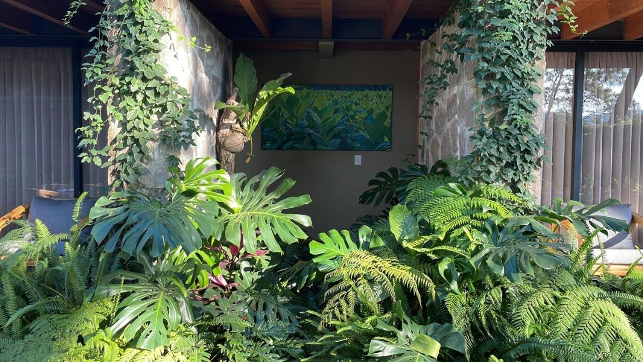 Pandurata Bed & Breakfast