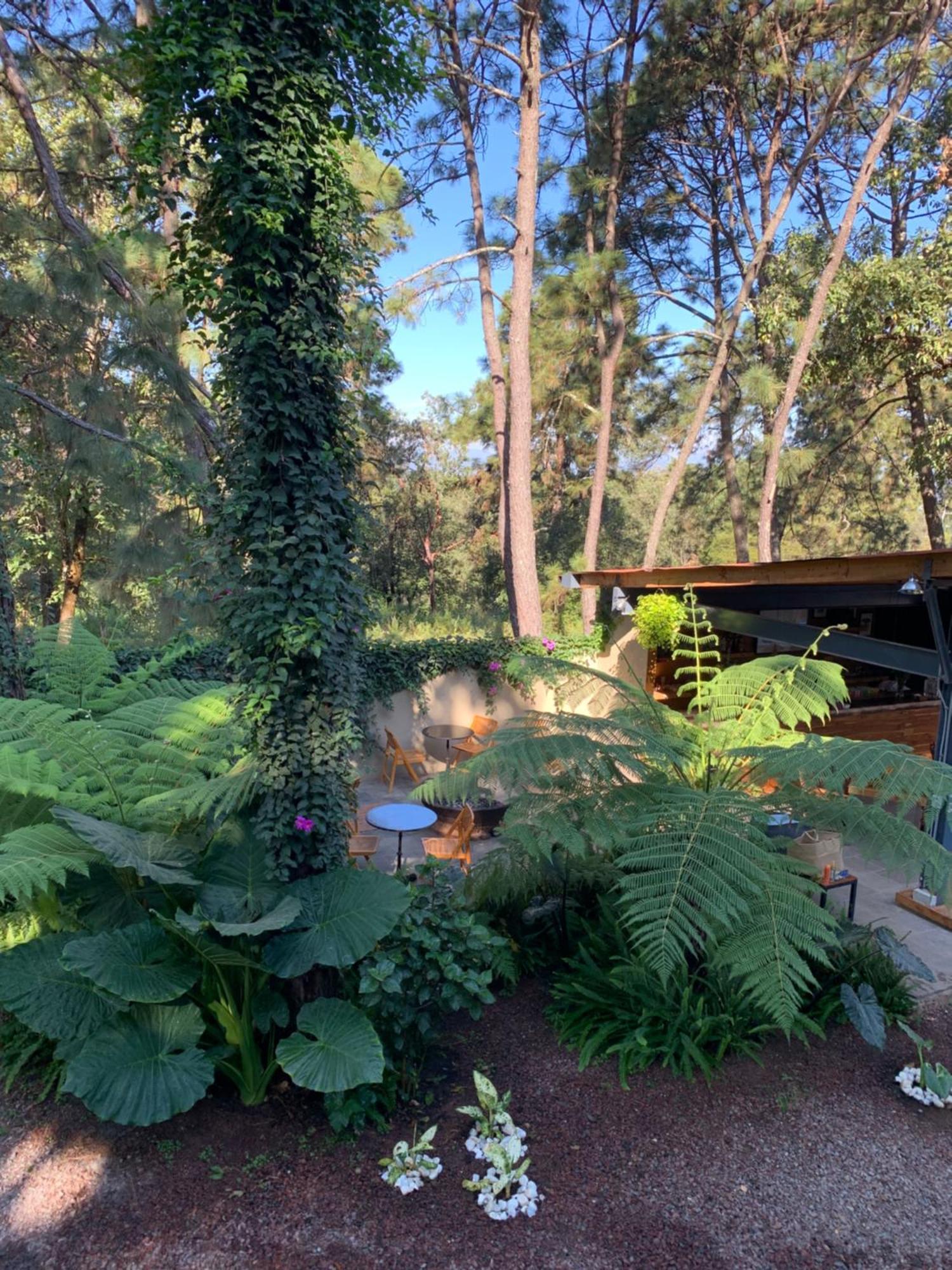 Bed & Breakfast Pandurata Valle de Bravo