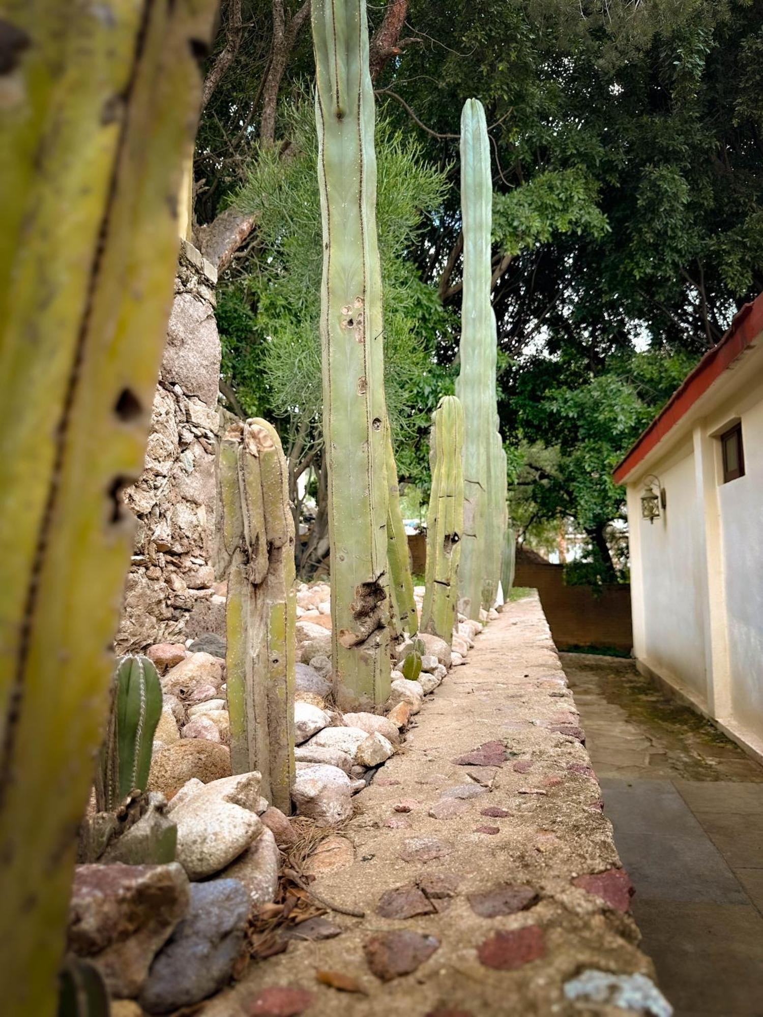 Casona San Cayetano & Lofts
