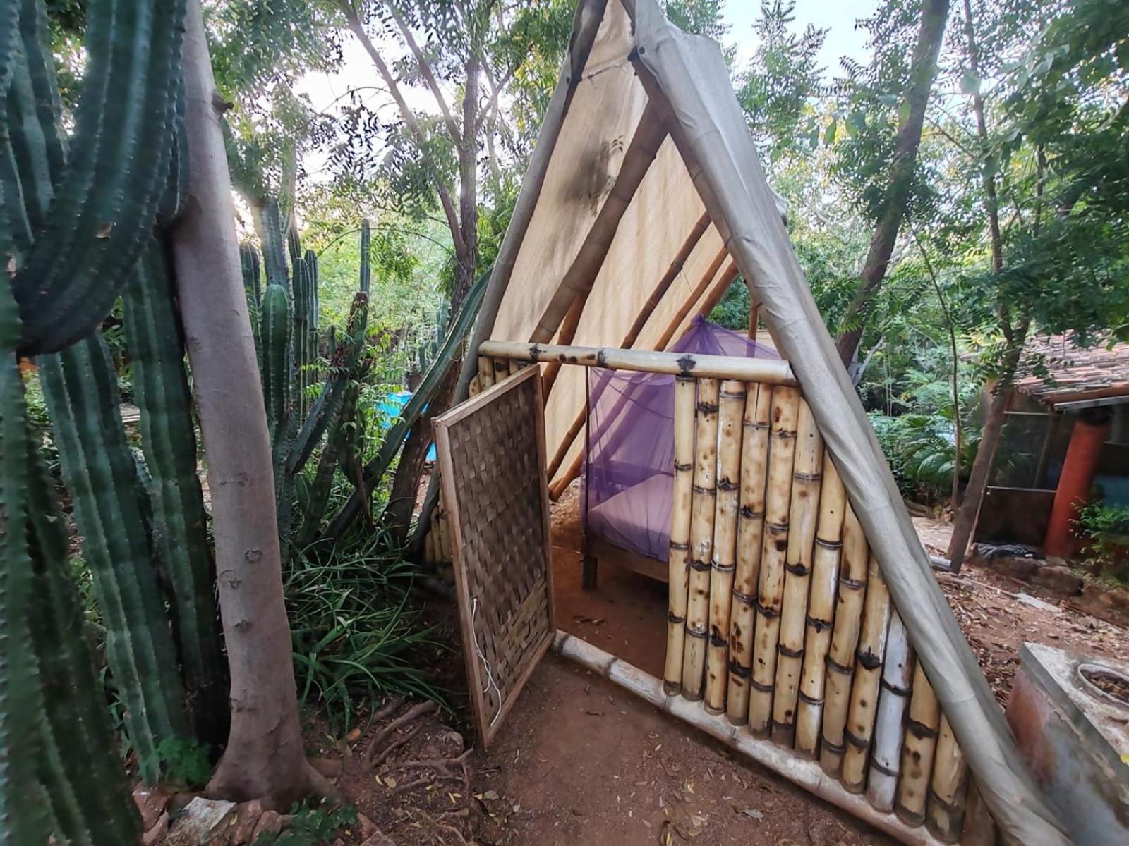Guest house Balamjuyuc Y Ecohostel