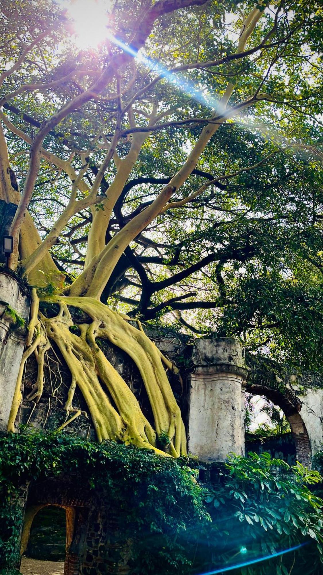 & Hacienda De Cortes Hotel