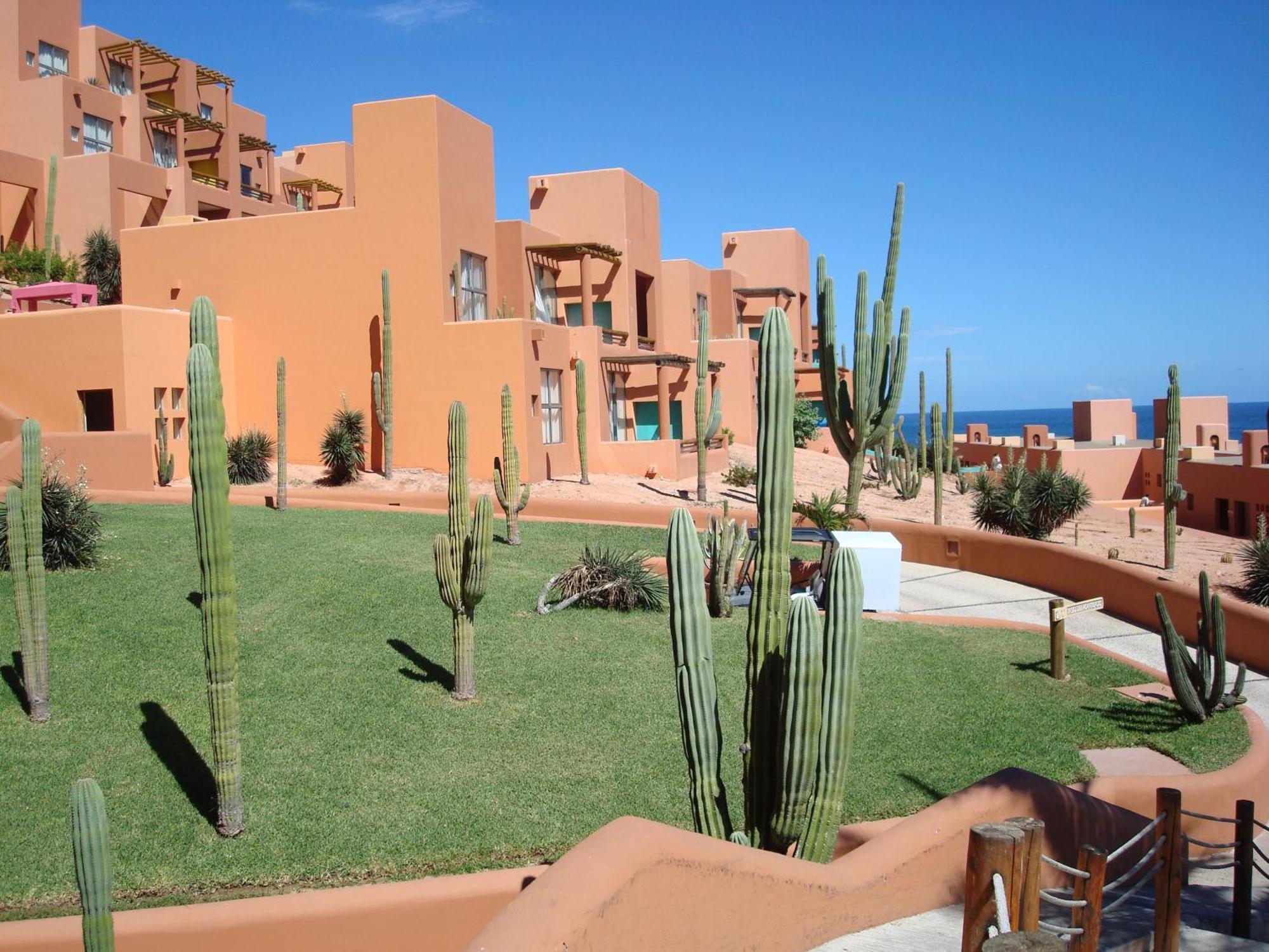 Club Regina Cabo Timeshare